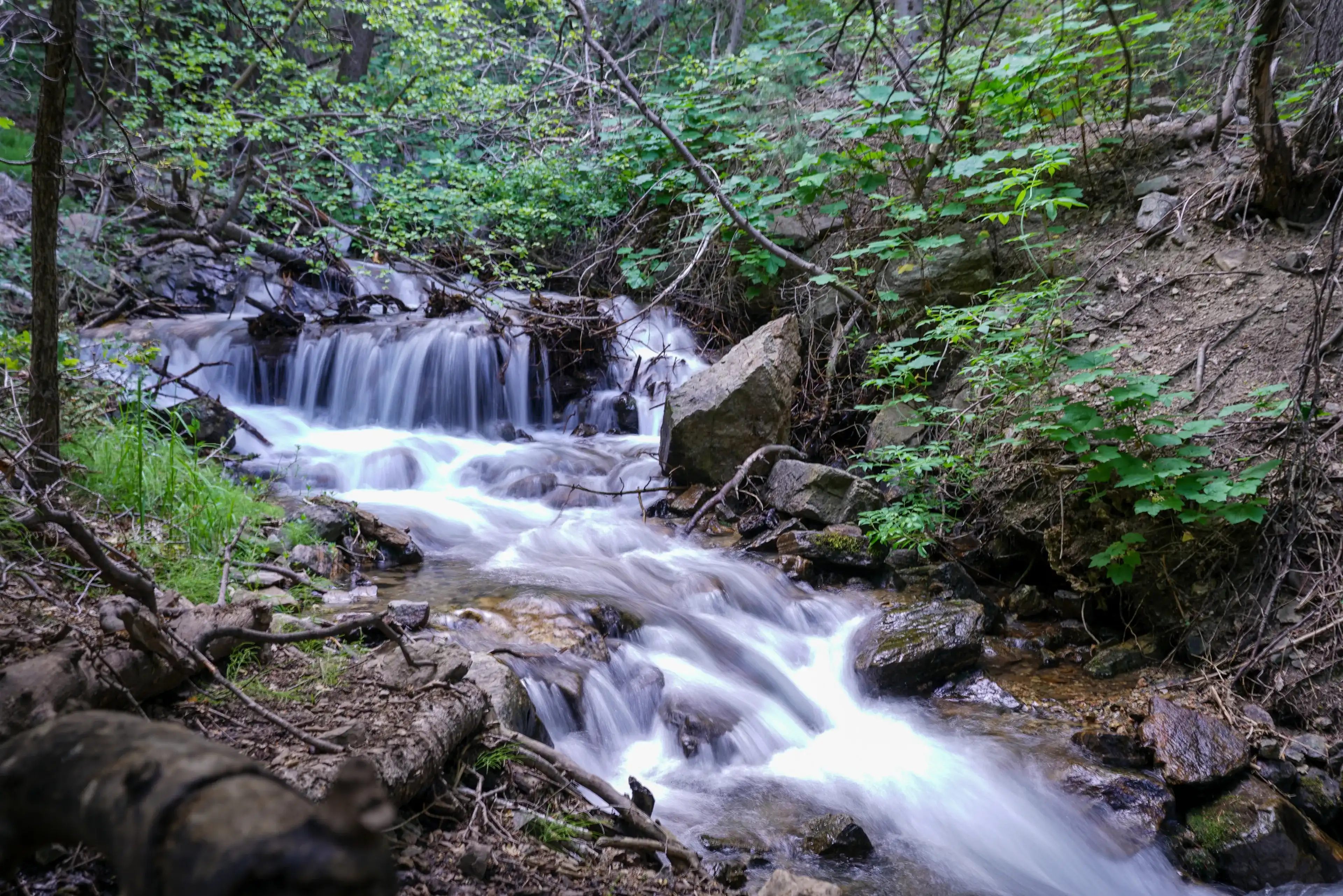 Best Layton hotels. Cheap hotels in Layton, Utah, United States Best Layton hotels. Cheap hotels in Layton, Utah, United States