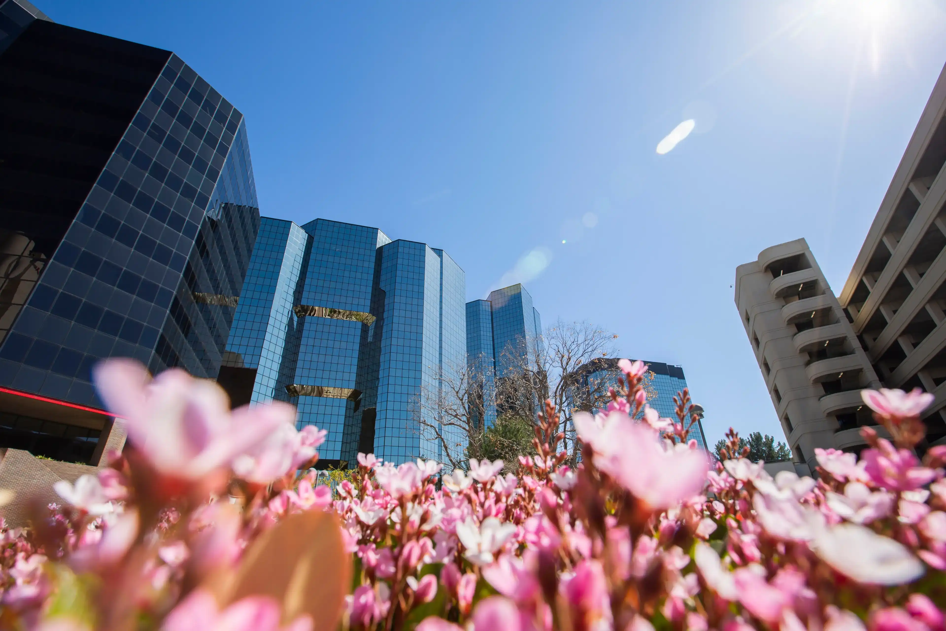 Daytime skyline view of the Woodland Hills area of Los Angeles, California, USA. Daytime skyline view of the Woodland Hills area of Los Angeles, California, USA.