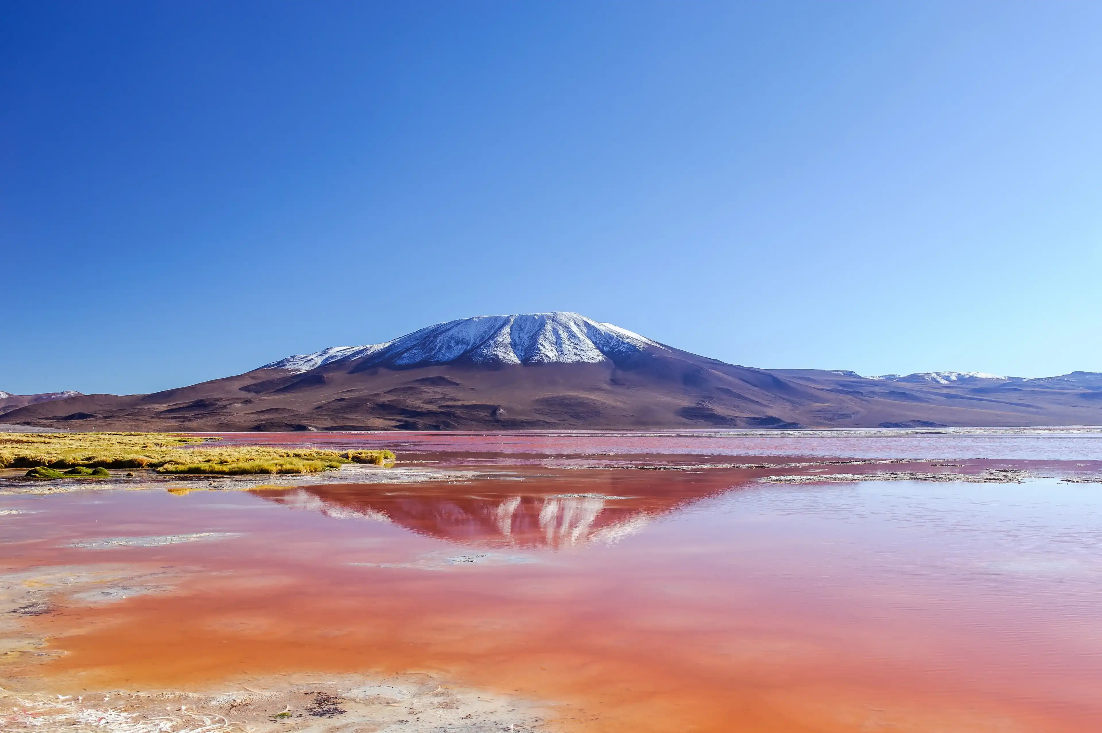 Flamingos wintering in Laguna Colorada, Bolivia, altiplano Flamingos wintering in Laguna Colorada, Bolivia, altiplano
