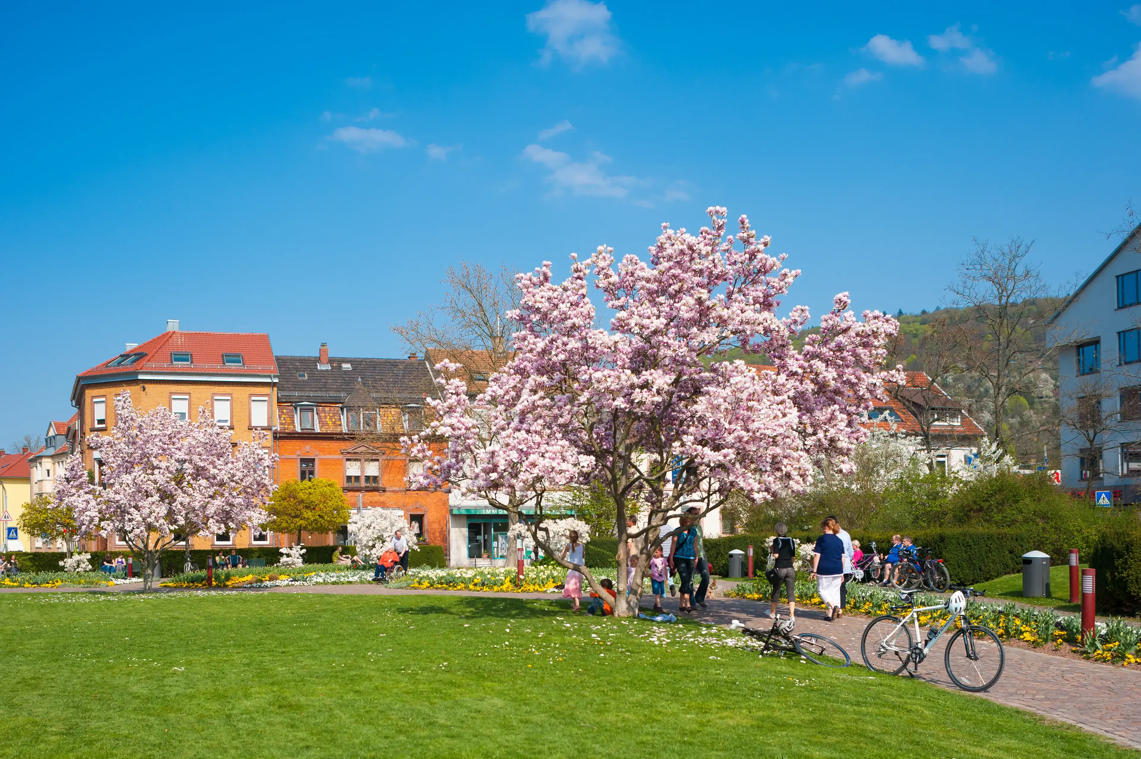 Best Ettlingen hotels. Cheap hotels in Ettlingen, Germany Best Ettlingen hotels. Cheap hotels in Ettlingen, Germany