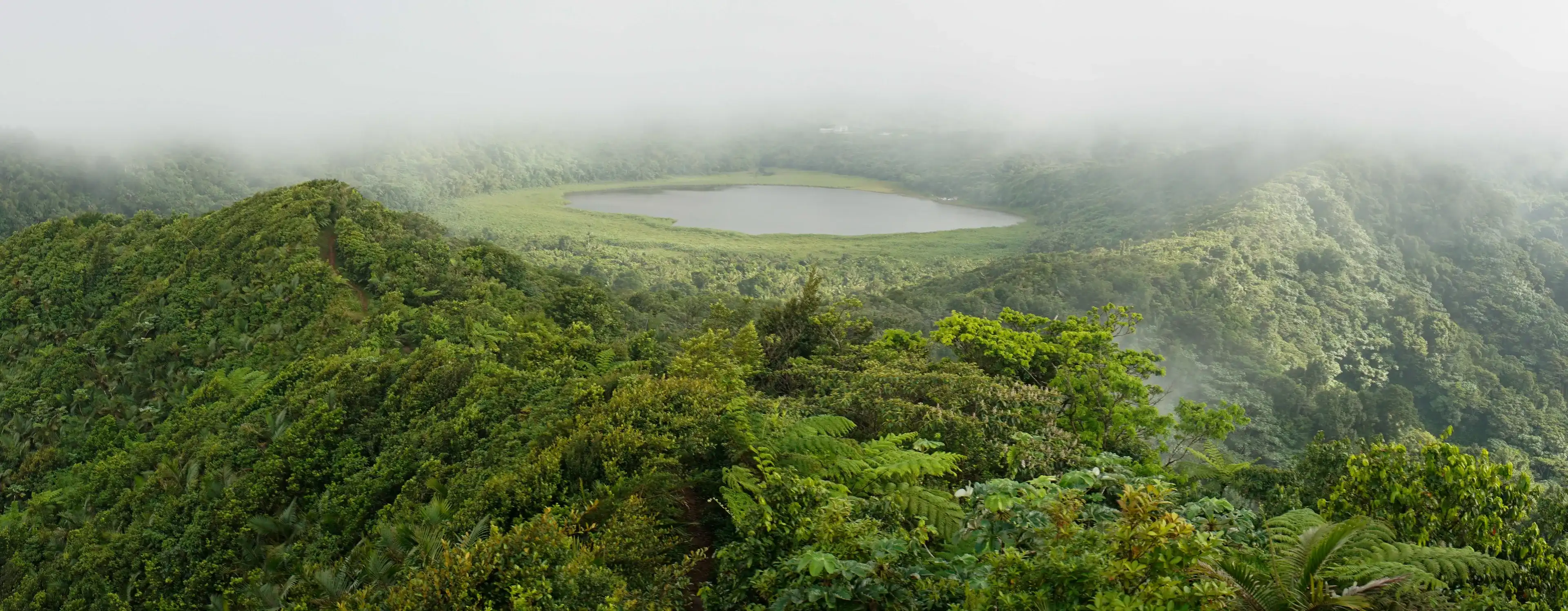 Green Jungle and lake at Mount Qua Qua near Caribbean St. George's, Grenada. Green Jungle and lake at Mount Qua Qua near Caribbean St. George's, Grenada.