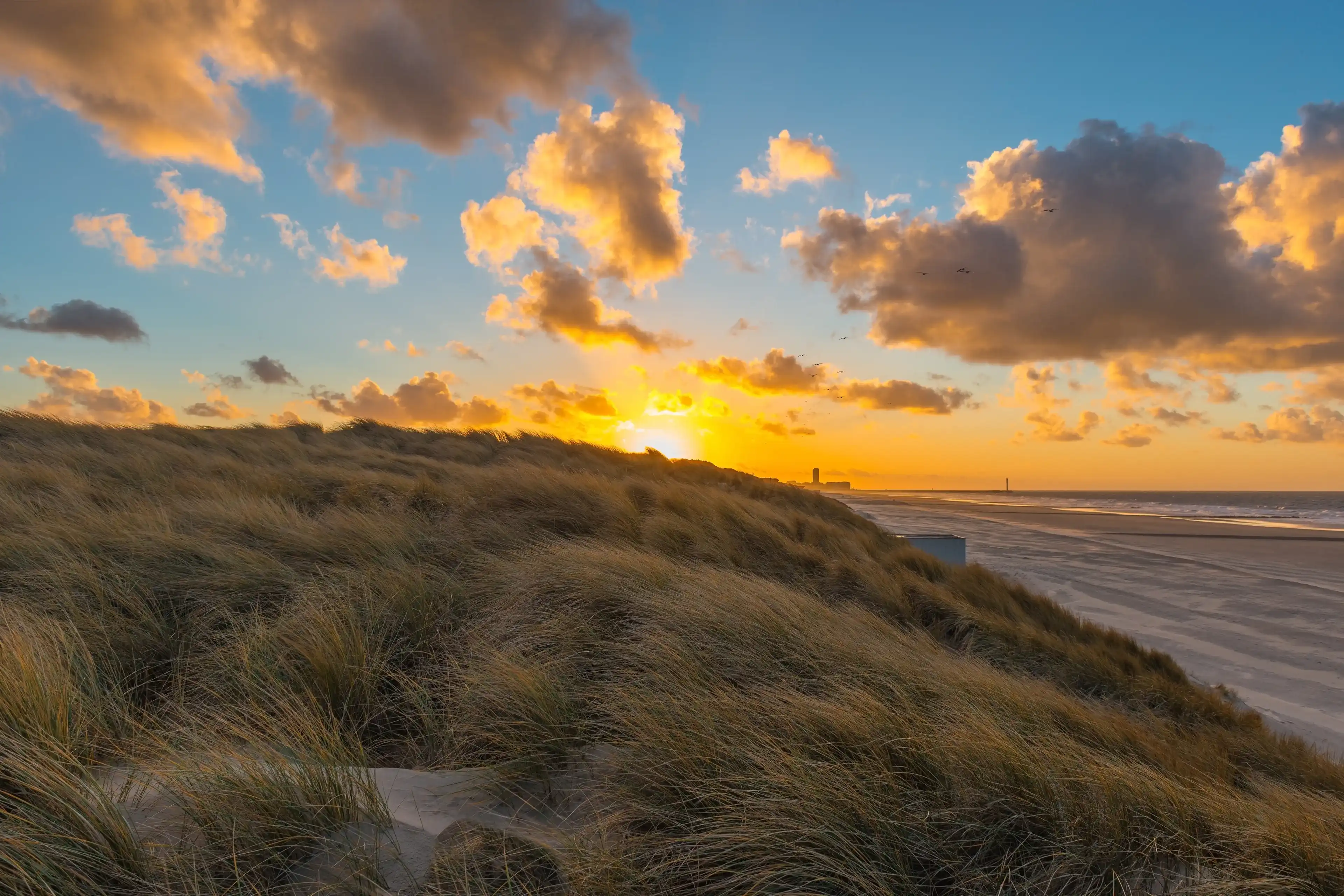 The sand dunes of Oostende (Ostend in English) and Bredene at sunset with the skyline and pier of Ostend in the background, West Flanders, Belgium. The sand dunes of Oostende (Ostend in English) and Bredene at sunset with the skyline and pier of Ostend in the background, West Flanders, Belgium.