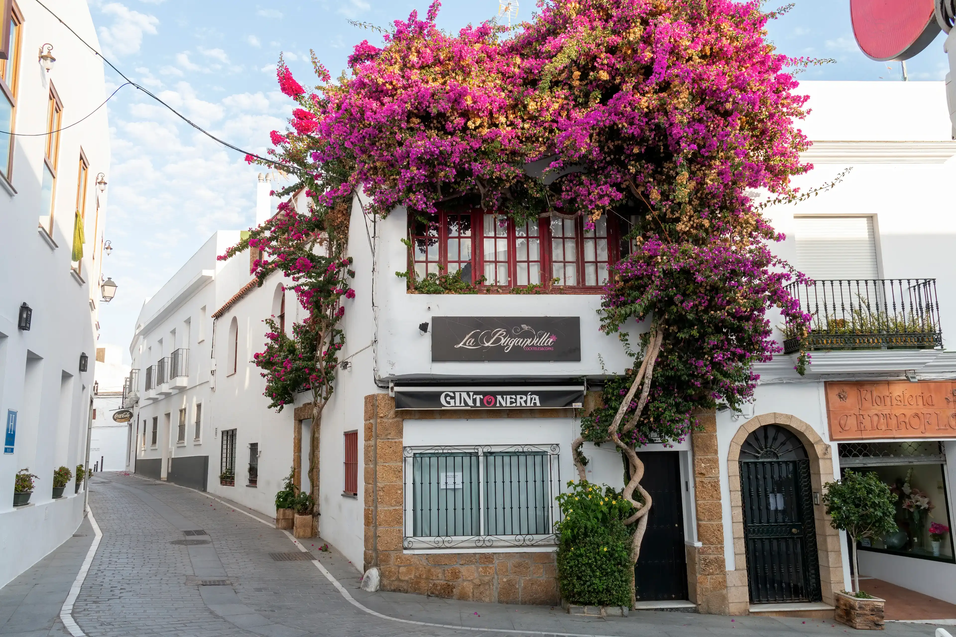 Conil de la Frontera, Cádiz, Spain - October 12, 2019: Pretty street in Conil de la Frontera decorated with a large bougainvillea Conil de la Frontera, Cádiz, Spain - October 12, 2019: Pretty street in Conil de la Frontera decorated with a large bougainvillea