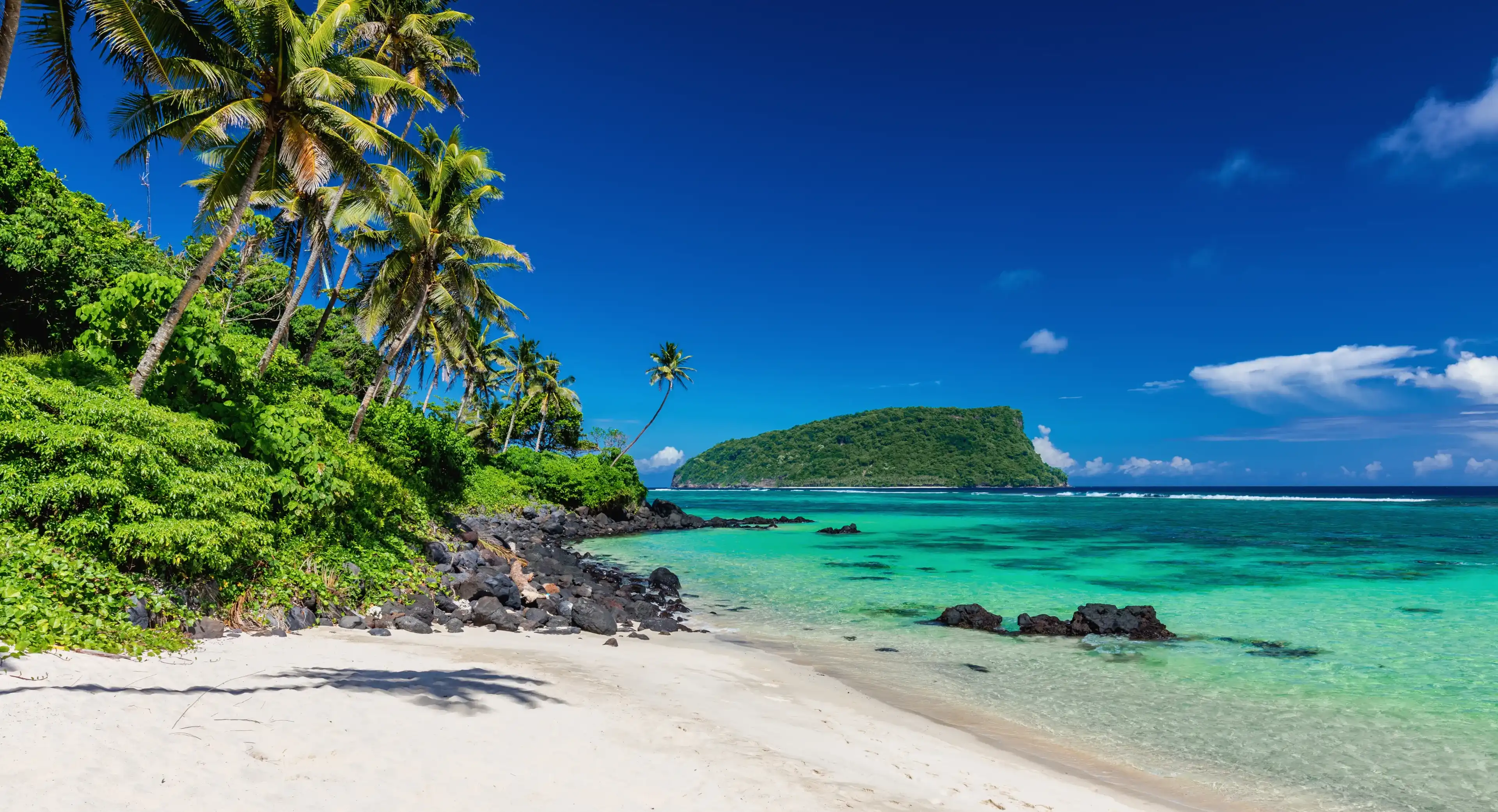 Vibrant tropical Lalomanu beach on Samoa Island with coconut palm trees and black rocks Vibrant tropical Lalomanu beach on Samoa Island with coconut palm trees and black rocks