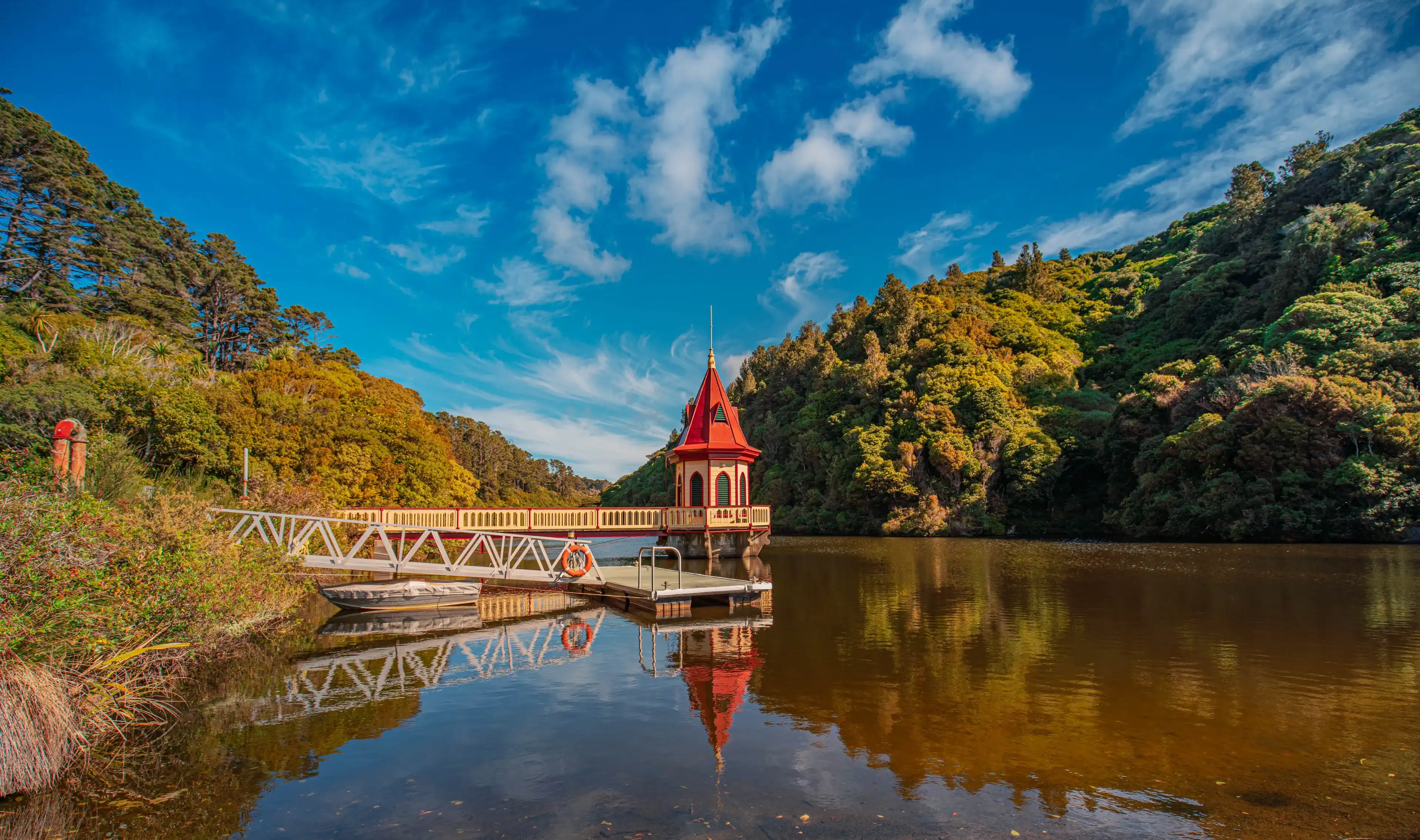 landscape of Zealandia, the world’s first fully-fenced urban ecosanctuary landscape of Zealandia, the world’s first fully-fenced urban ecosanctuary