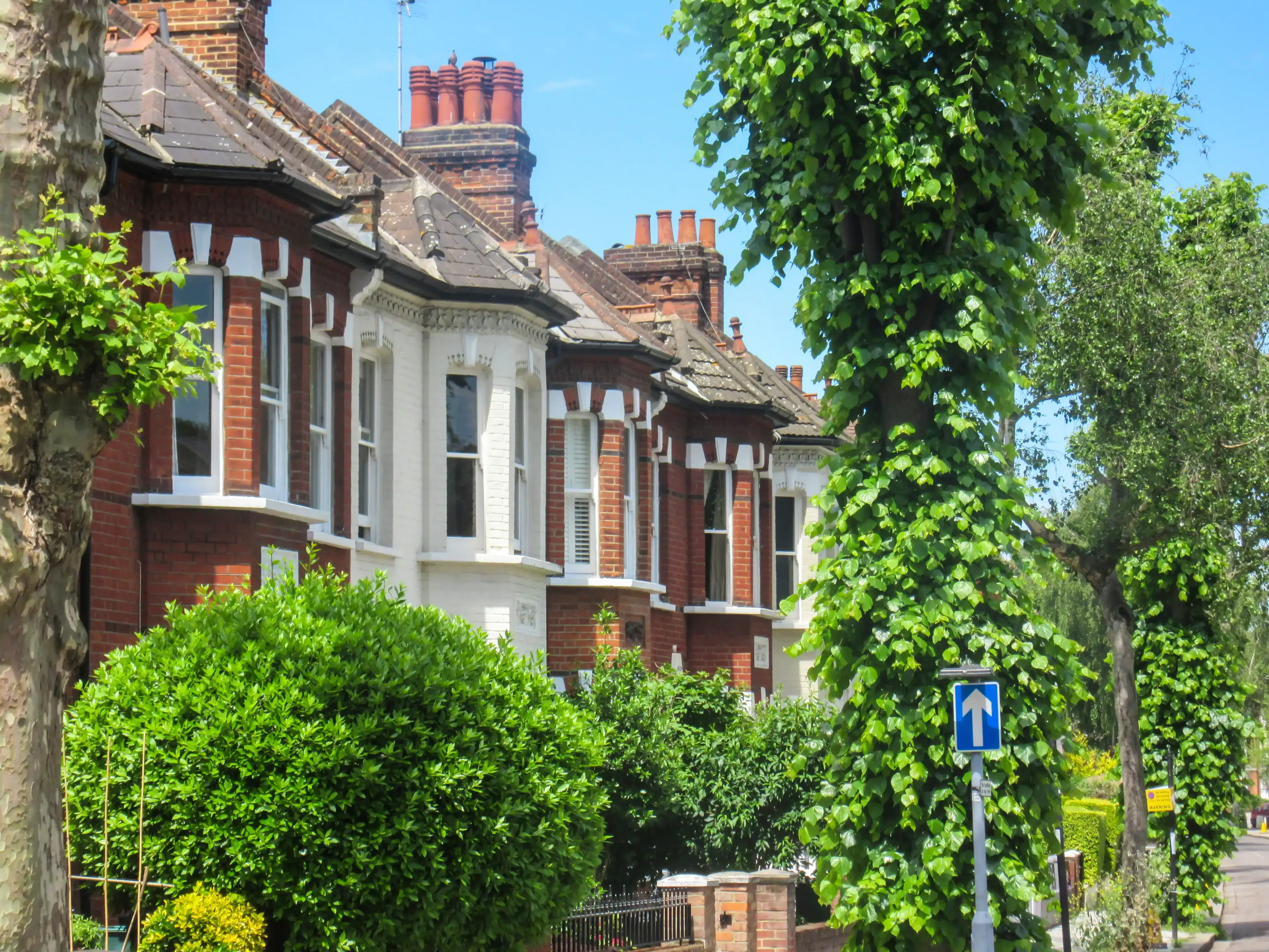 Row of terraced housing surrounded by mature trees in Chiswick, a leafy affluent district of west London. Row of terraced housing surrounded by mature trees in Chiswick, a leafy affluent district of west London.