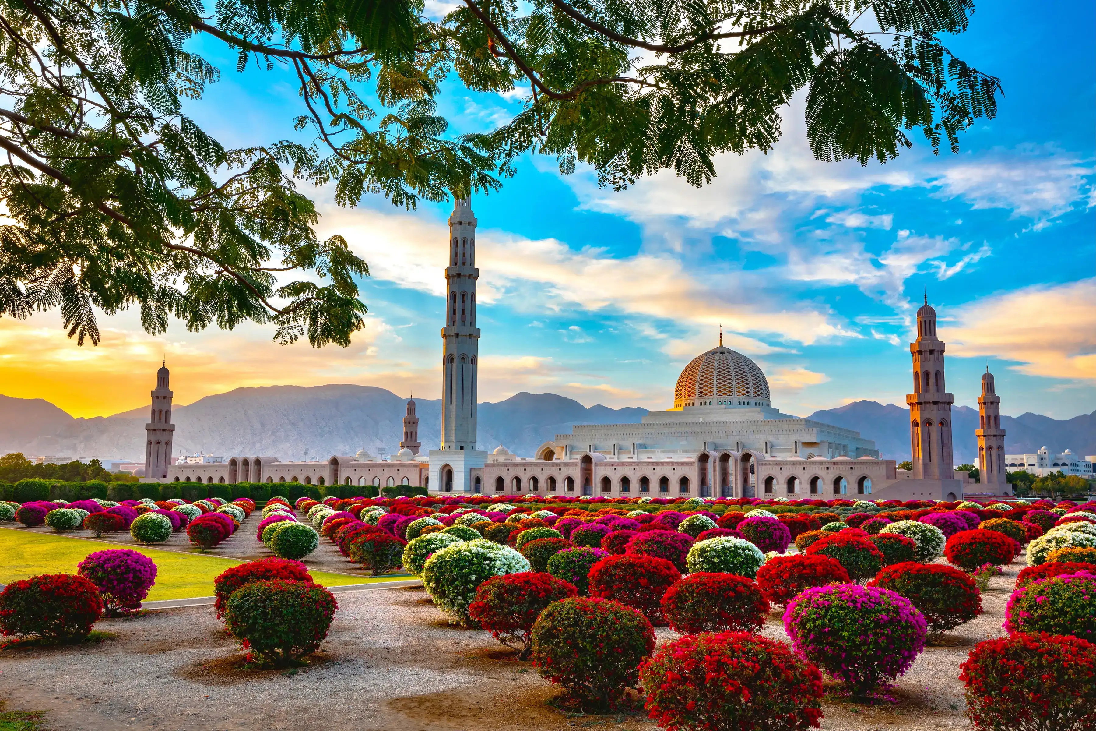 Beautiful morning view of Grand Mosque, Muscat, Oman. Beautiful morning view of Grand Mosque, Muscat, Oman.