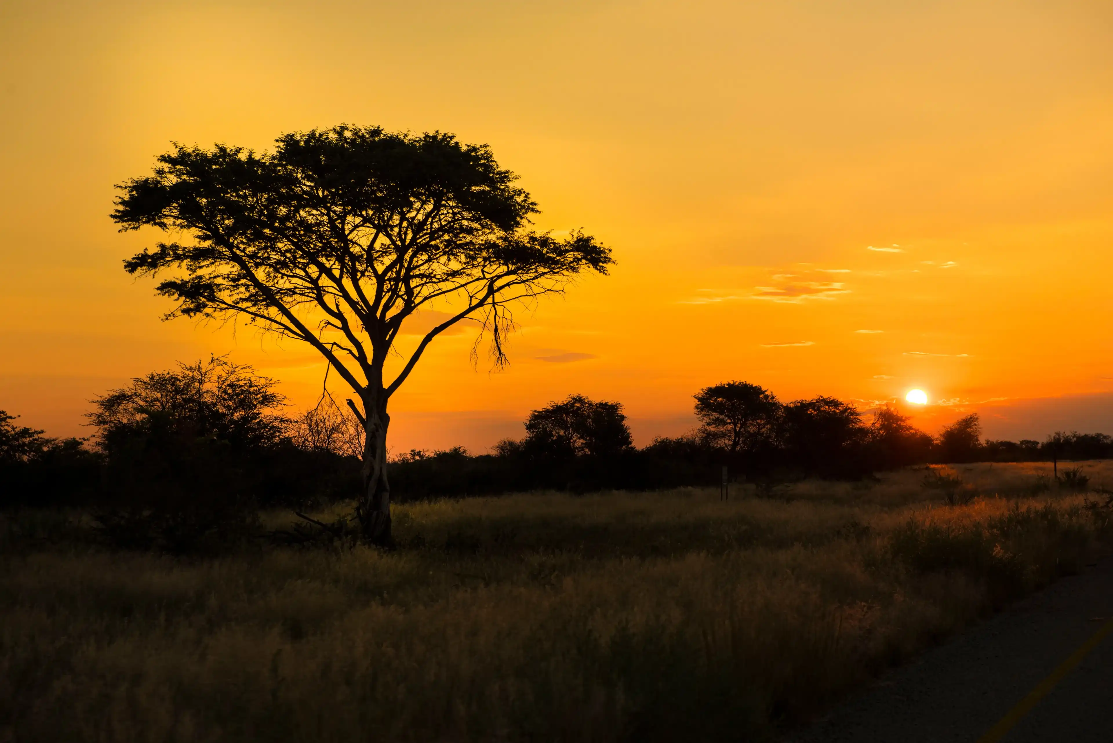 Sunset in Bostwana Sunset in Bostwana