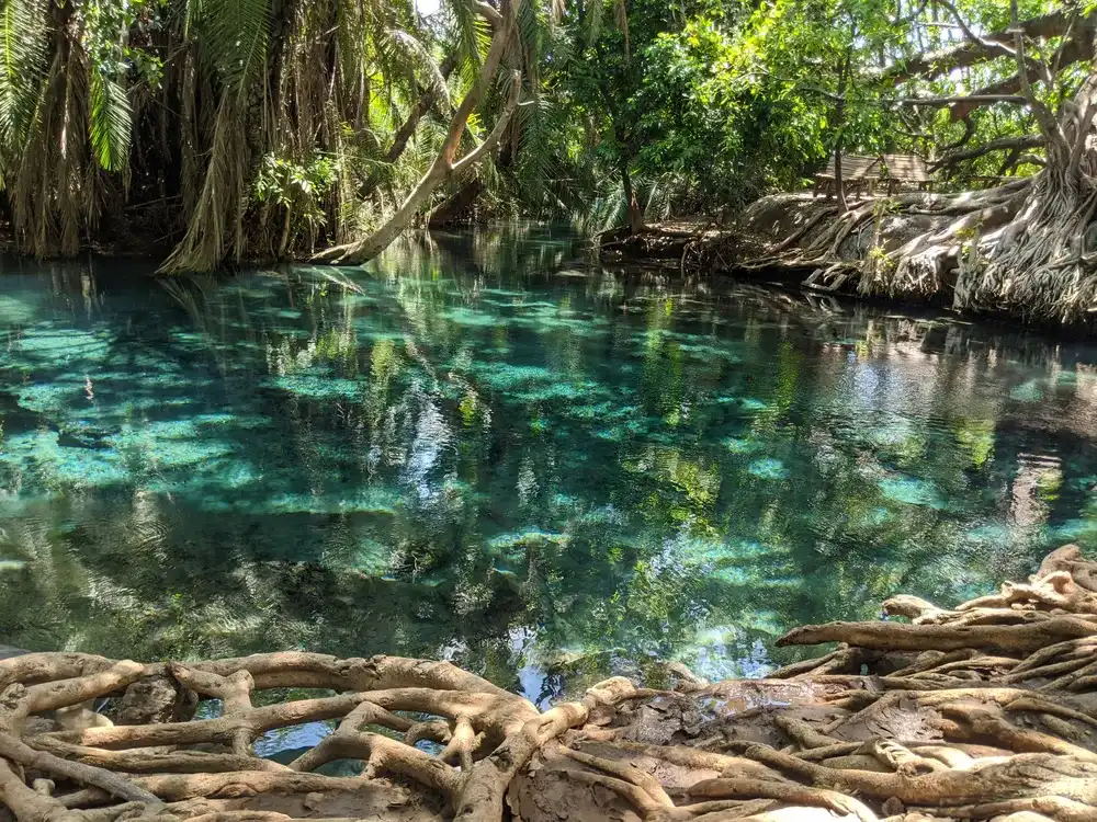 River. Chemka Hot Springs. Kikuletwa Hotsprings. Moshi. Arusha. Kilimanjaro. Tanzania River. Chemka Hot Springs. Kikuletwa Hotsprings. Moshi. Arusha. Kilimanjaro. Tanzania