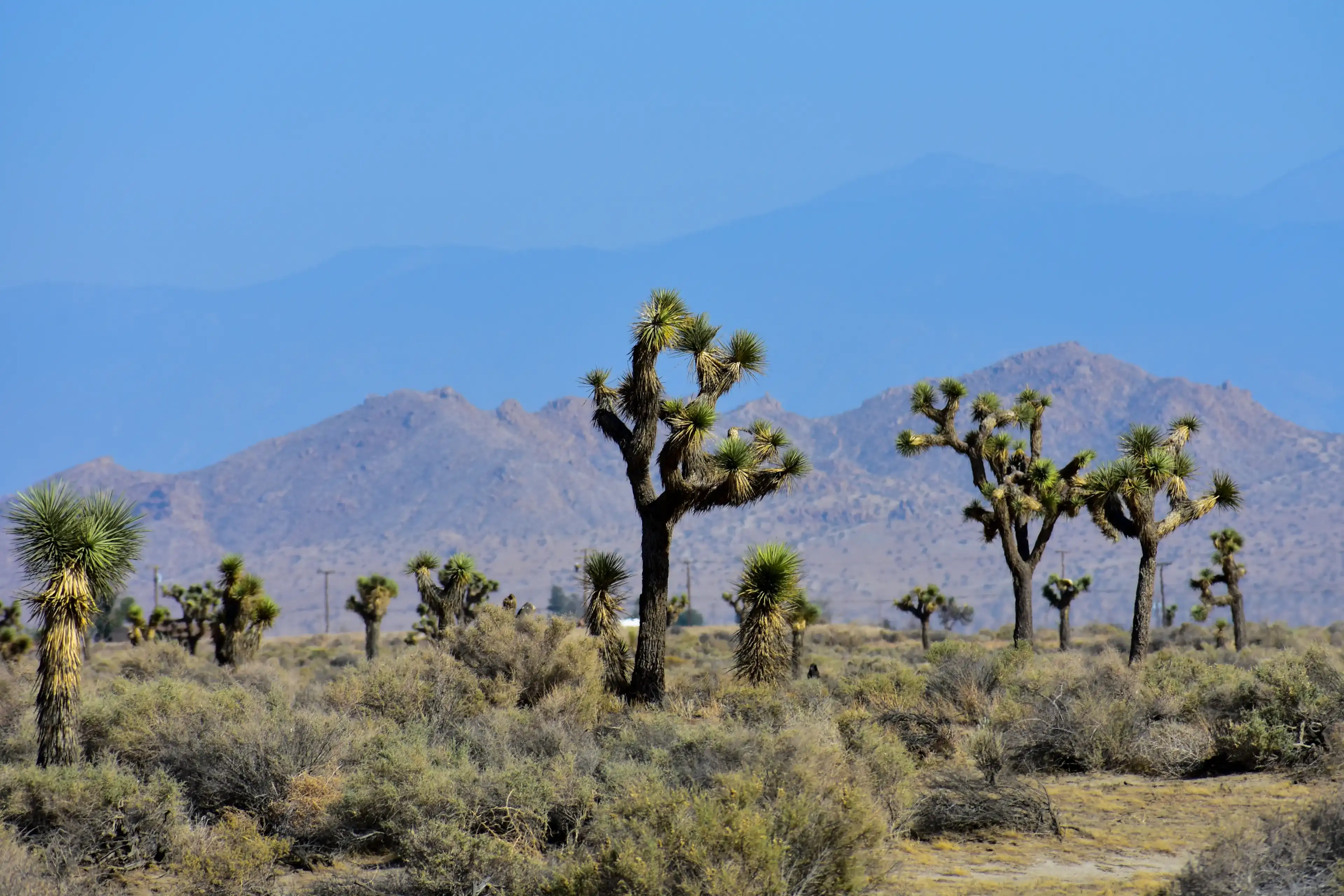 Best Lancaster hotels. Cheap hotels in Lancaster, California, United States Best Lancaster hotels. Cheap hotels in Lancaster, California, United States