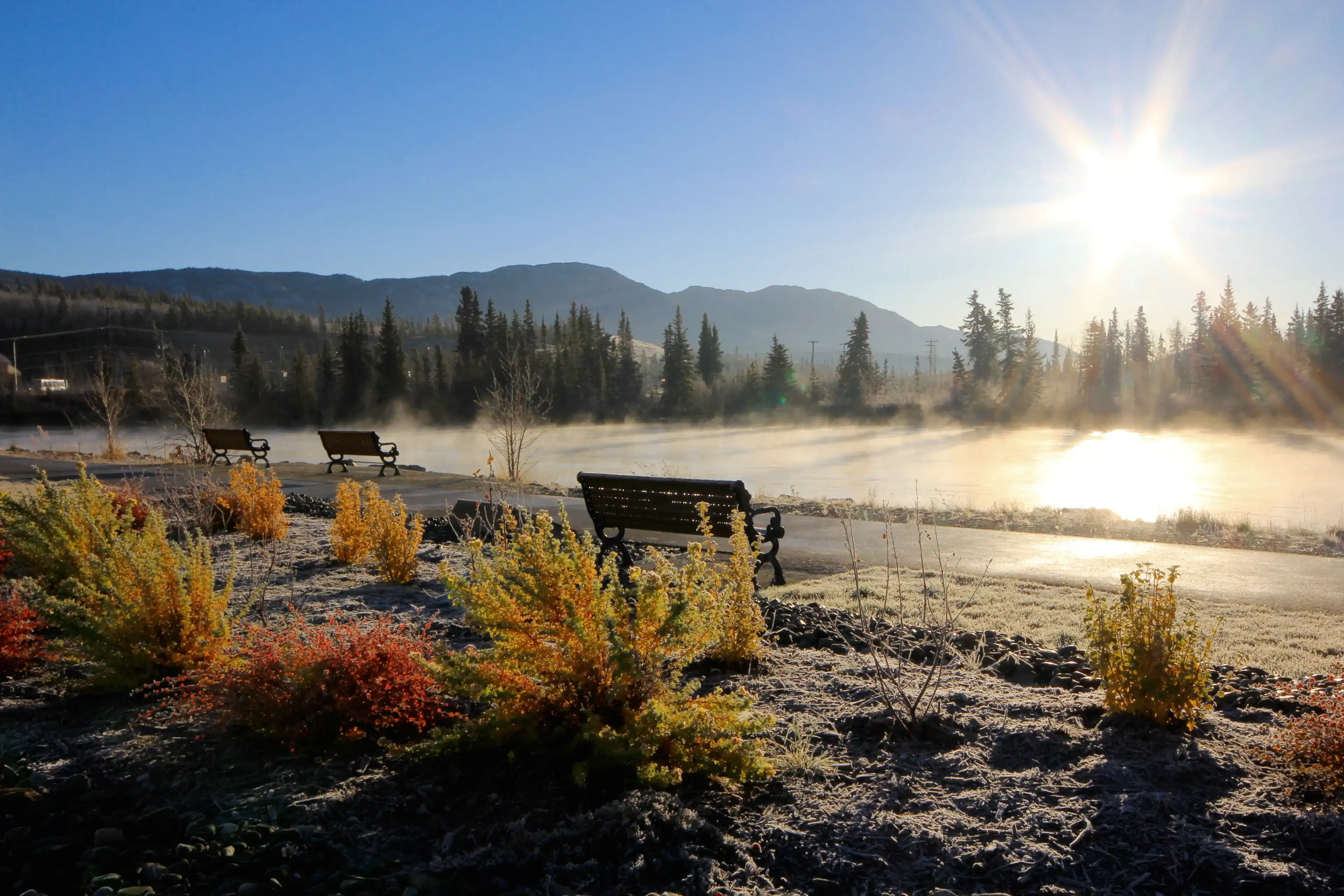 Best Whitehorse hotels. Cheap hotels in Whitehorse, Yukon, Canada Best Whitehorse hotels. Cheap hotels in Whitehorse, Yukon, Canada