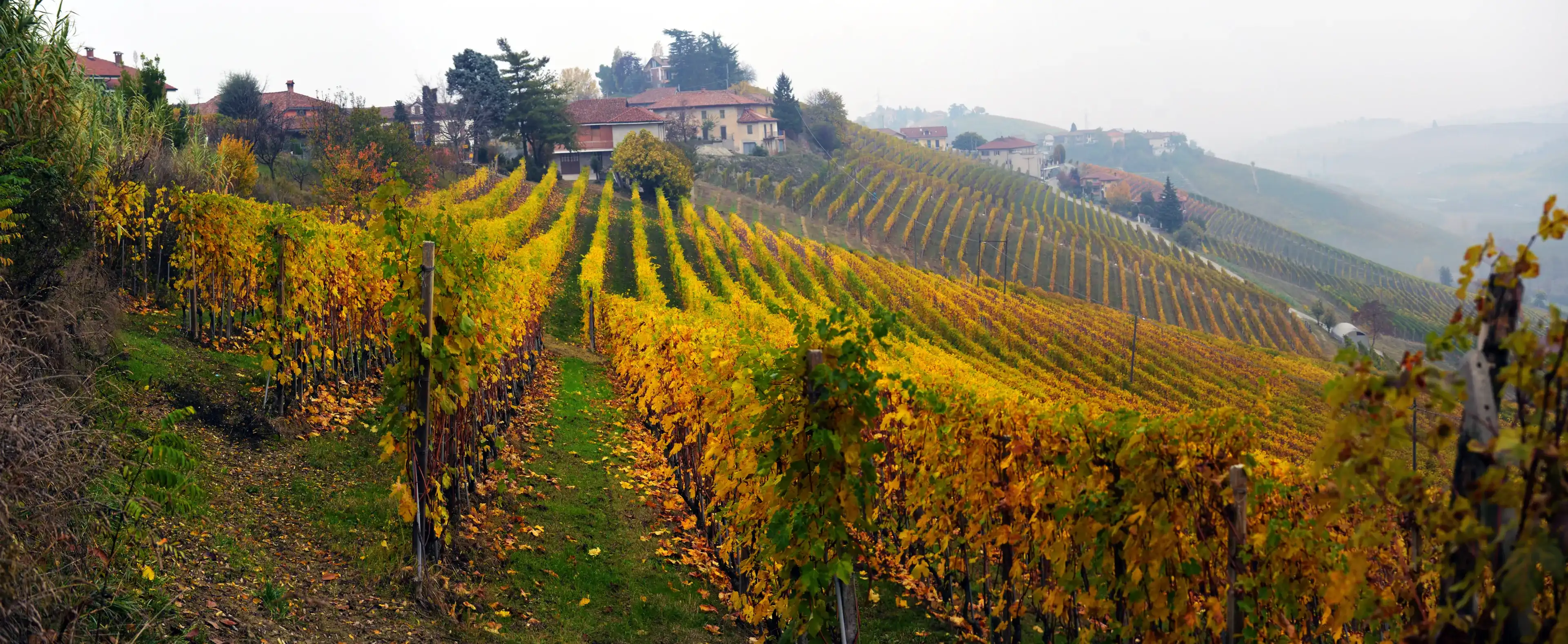 Piemonte hotels. Best hotels in Piemonte, Italy Piemonte hotels. Best hotels in Piemonte, Italy