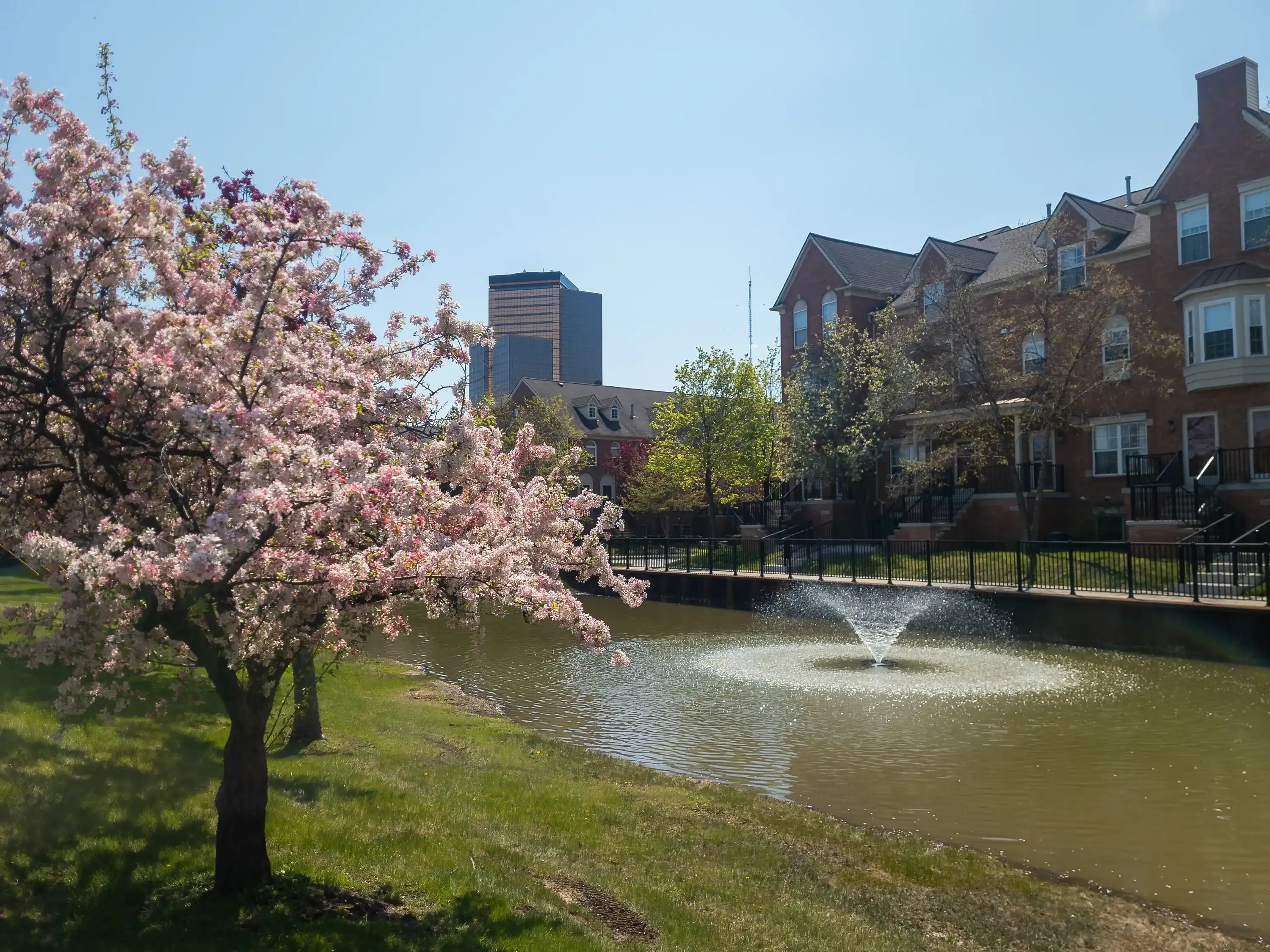 Southfield, MI, USA- May 5, 2023: Pink Cherry blossom trees in front of a fountain and townhomes in downtown Southfield, Michigan on a clear day in spring. Southfield, MI, USA- May 5, 2023: Pink Cherry blossom trees in front of a fountain and townhomes in downtown Southfield, Michigan on a clear day in spring.