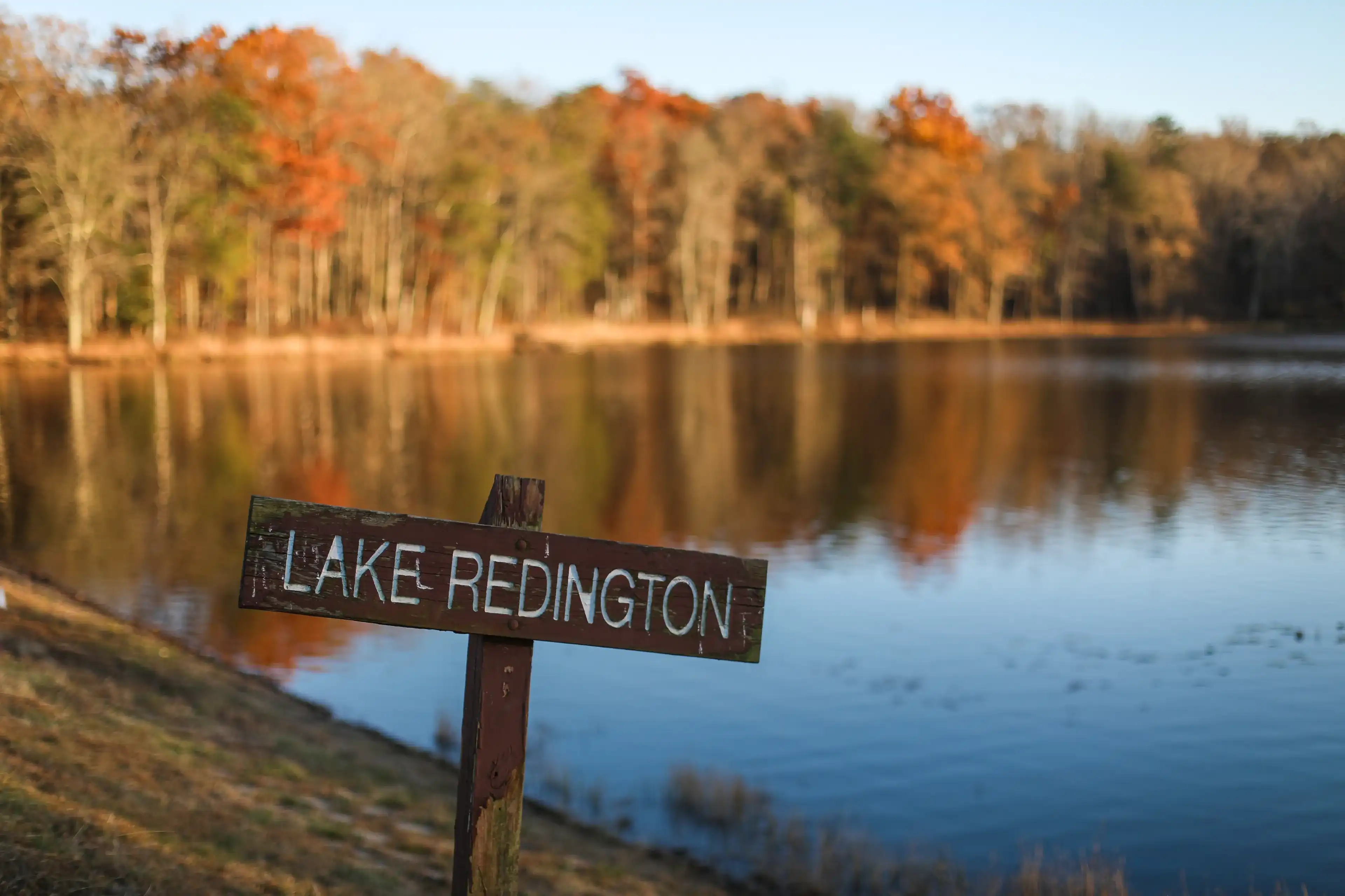 Best Laurel hotels. Cheap hotels in Laurel, Maryland, United States Best Laurel hotels. Cheap hotels in Laurel, Maryland, United States