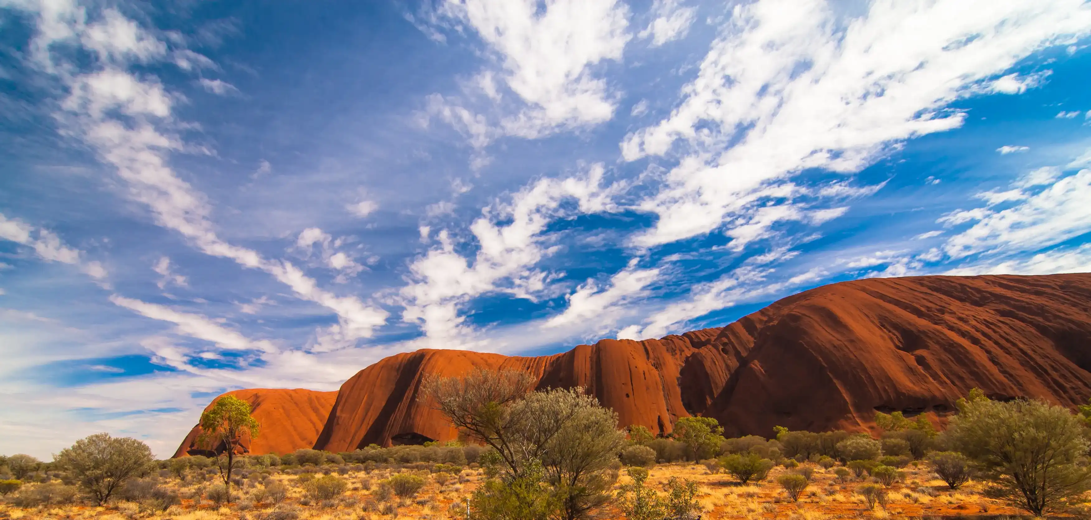 Uluru, Northern Territory / Australia - April 06 2009: views of Uluru in distance at horizon with blue sky and clouds in background and grass and bushes in foreground Uluru, Northern Territory / Australia - April 06 2009: views of Uluru in distance at horizon with blue sky and clouds in background and grass and bushes in foreground