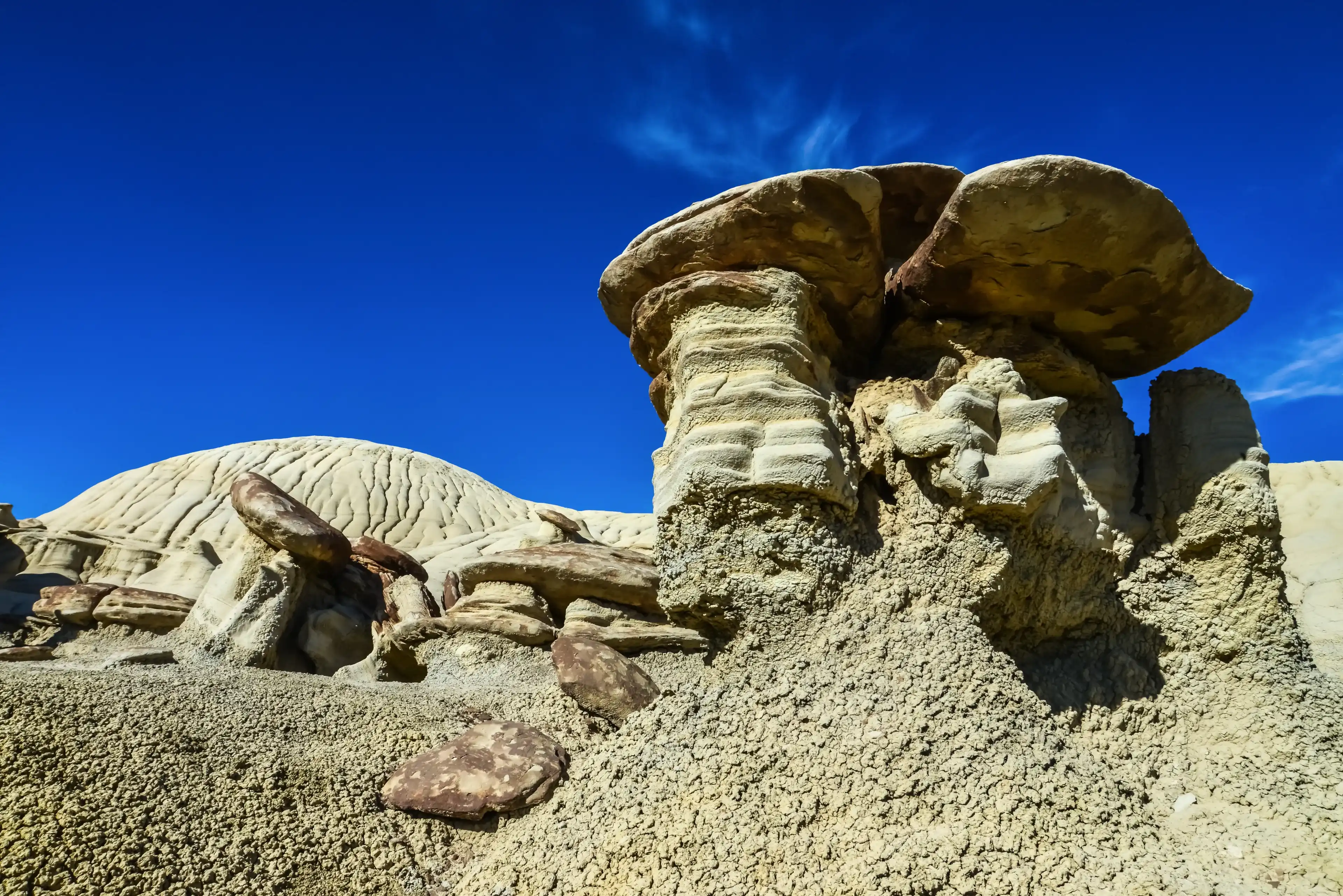 Best Farmington hotels. Cheap hotels in Farmington, New Mexico, United States Best Farmington hotels. Cheap hotels in Farmington, New Mexico, United States