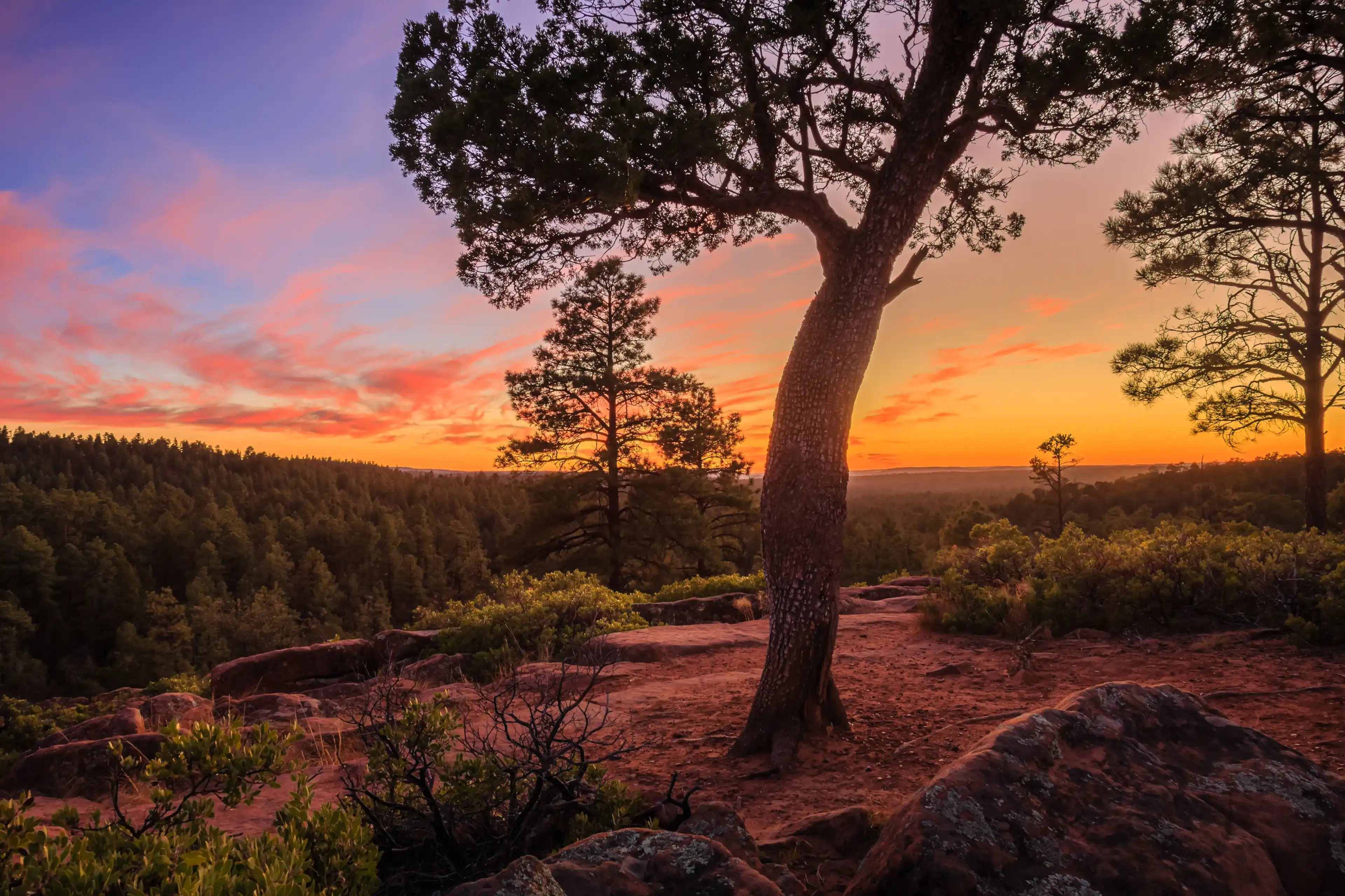 Sunset along the Mogollon Rim near Pinetop-Lakeside in the White Mountains of Arizona. Sunset along the Mogollon Rim near Pinetop-Lakeside in the White Mountains of Arizona.