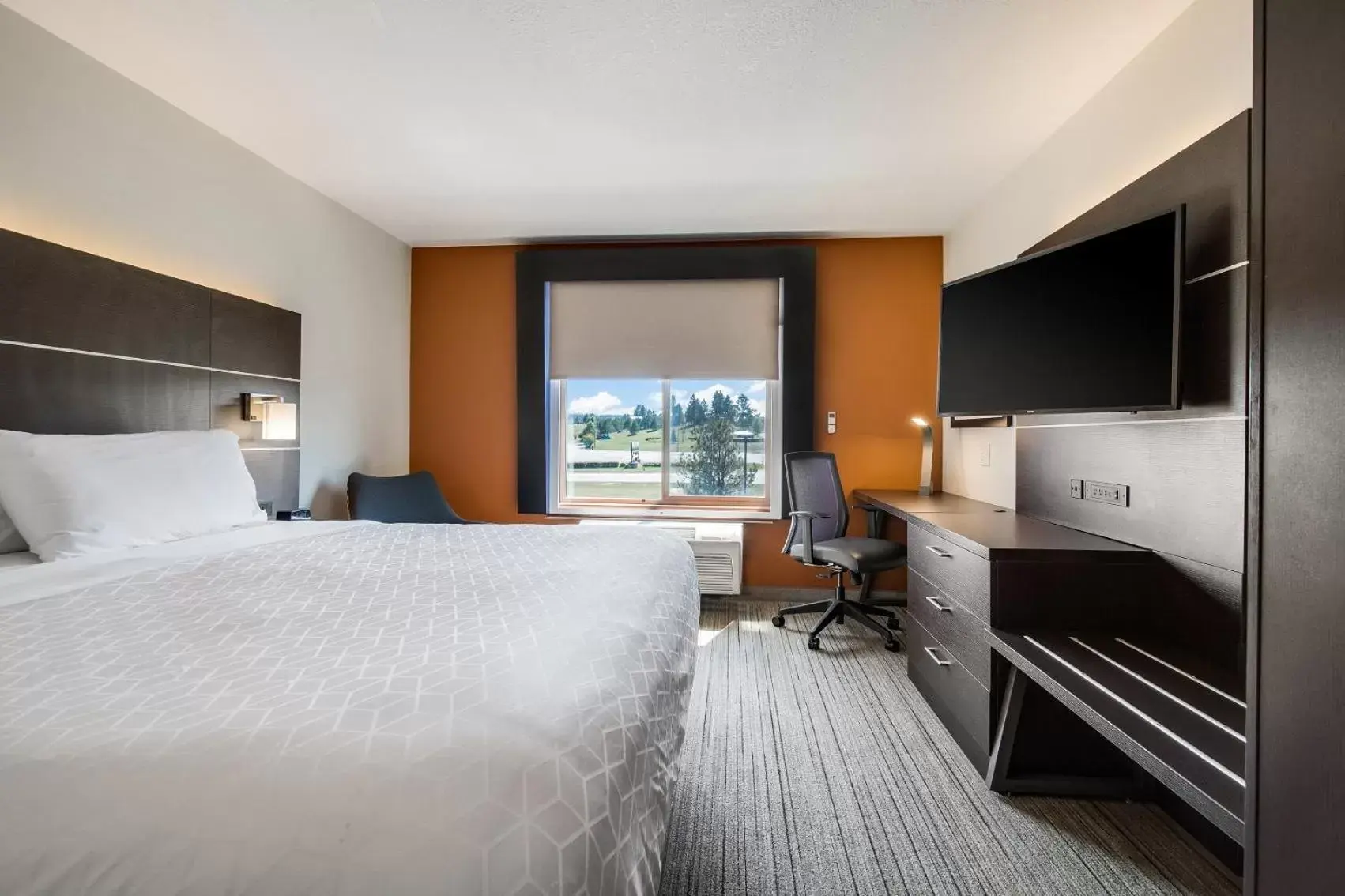 Standard King Room in Holiday Inn Express & Suites Custer-Mt Rushmore Standard King Room in Holiday Inn Express & Suites Custer-Mt Rushmore