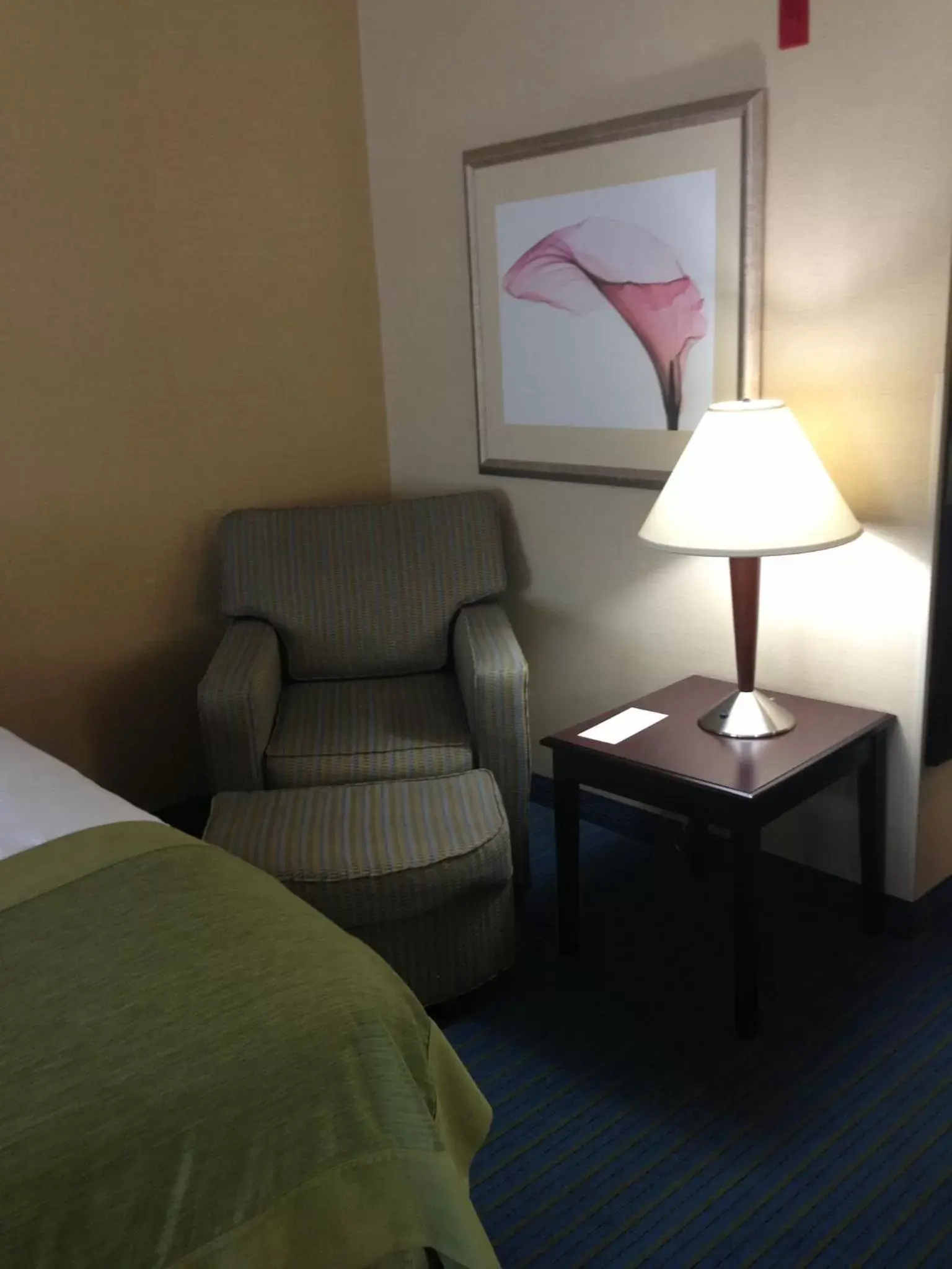 King Room - Non-Smoking in Wingate by Wyndham - York King Room - Non-Smoking in Wingate by Wyndham - York