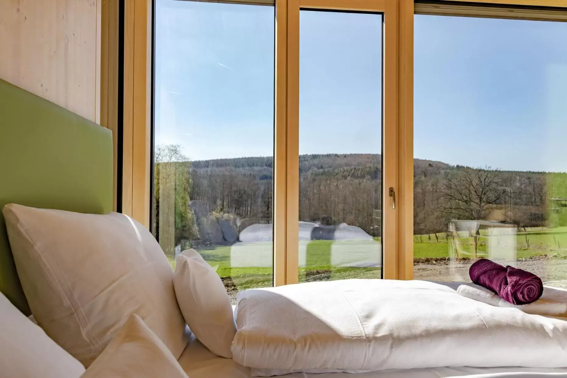 Family Suite - single occupancy in kleinHOTEL Steinau-Rabenstein GbR Family Suite - single occupancy in kleinHOTEL Steinau-Rabenstein GbR