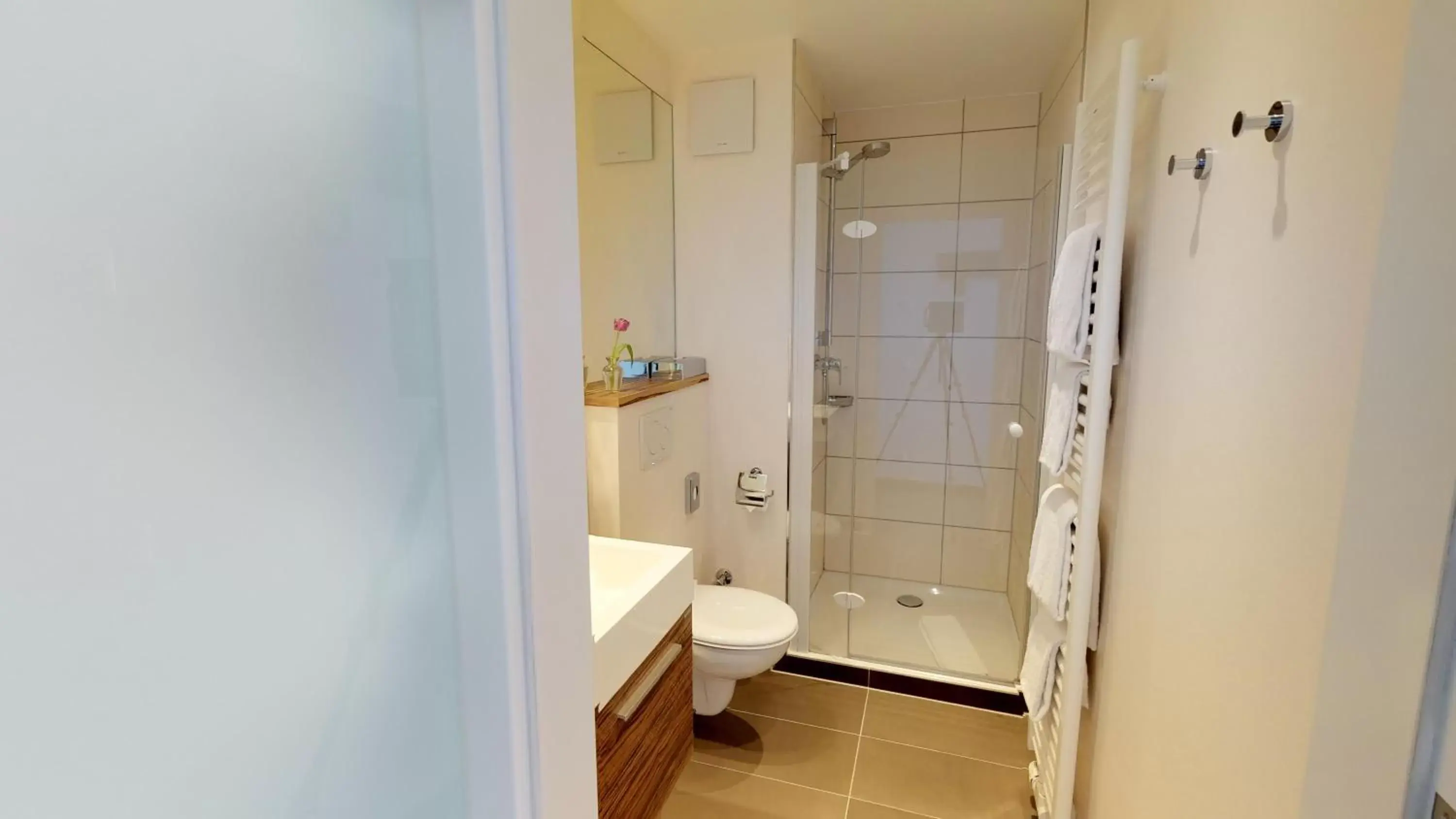 Standard Double Room in Hotel Goldene Traube Standard Double Room in Hotel Goldene Traube