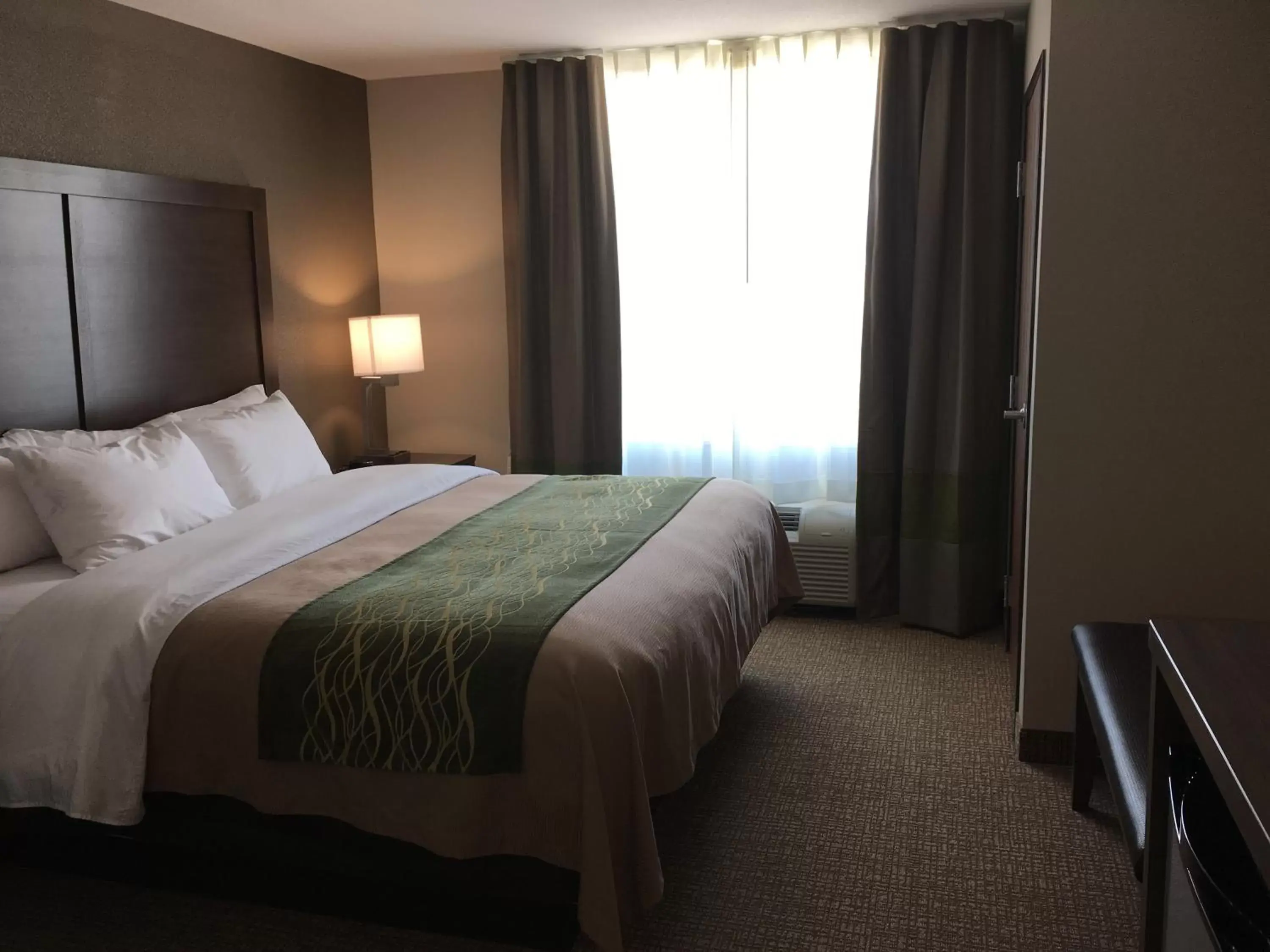King Room - Disability Access/Non-Smoking in Comfort Inn & Suites Snyder King Room - Disability Access/Non-Smoking in Comfort Inn & Suites Snyder