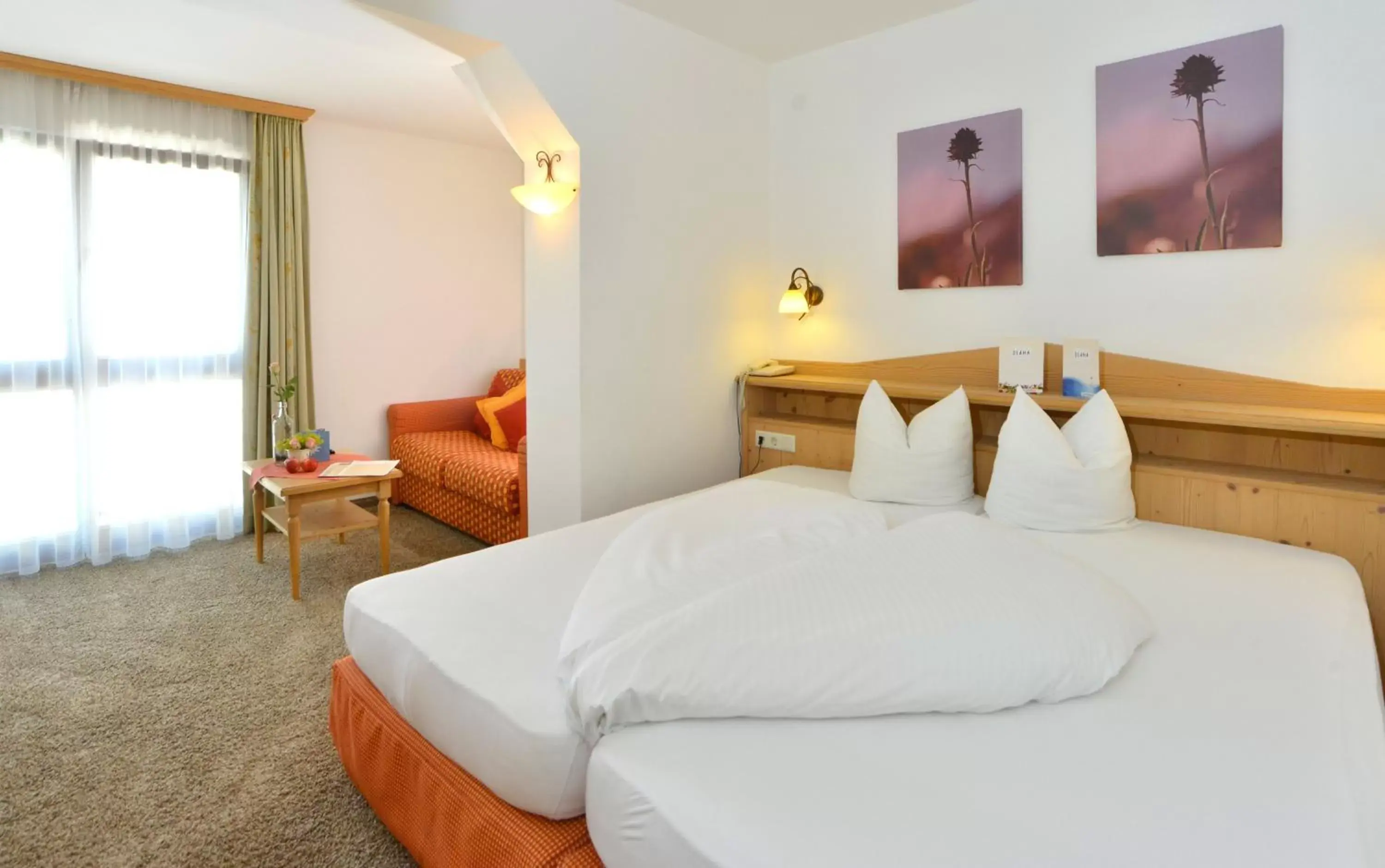 Comfort Double Room in Hotel Diana Comfort Double Room in Hotel Diana