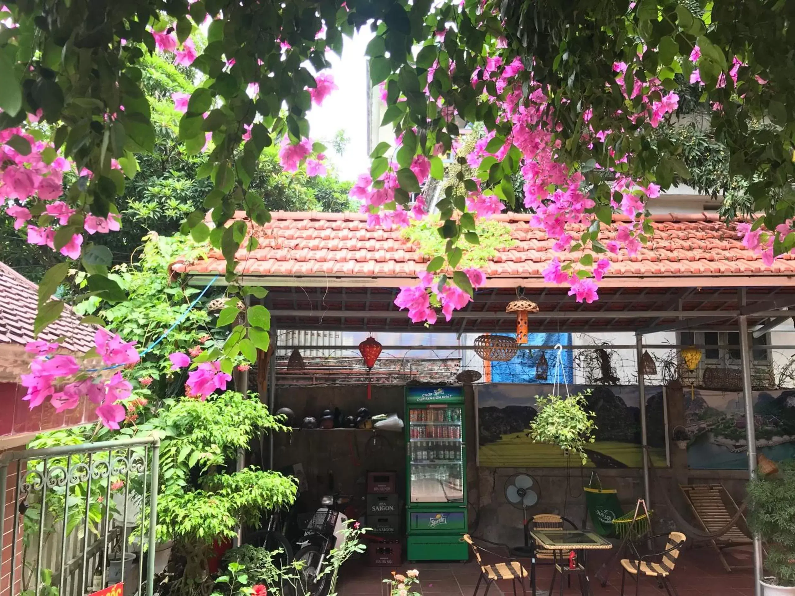 Tam Coc Family Hotel Tam Coc Family Hotel