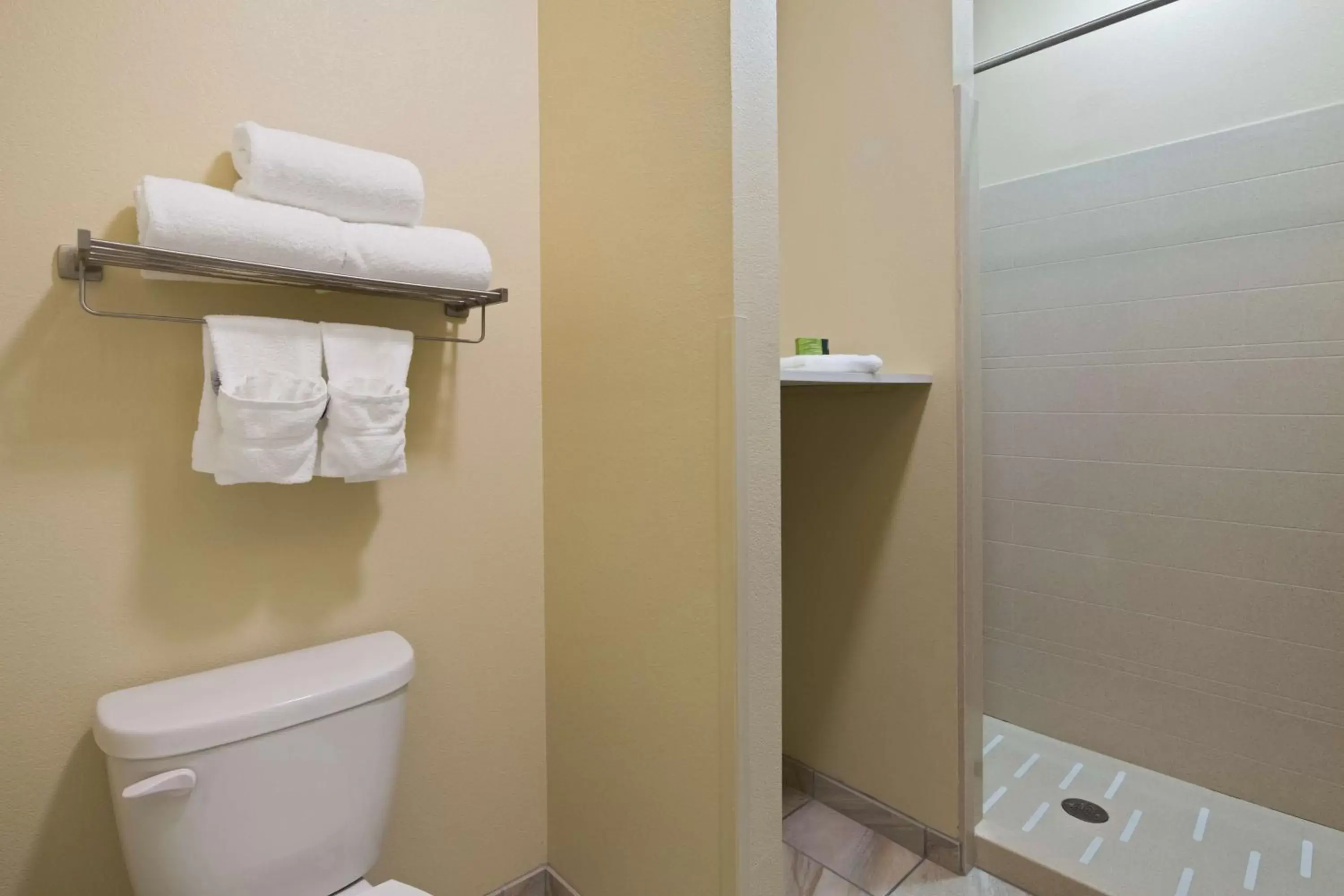 King Room with Roll-In Shower - Disability Access in Best Western Plus Patterson Park Inn King Room with Roll-In Shower - Disability Access in Best Western Plus Patterson Park Inn