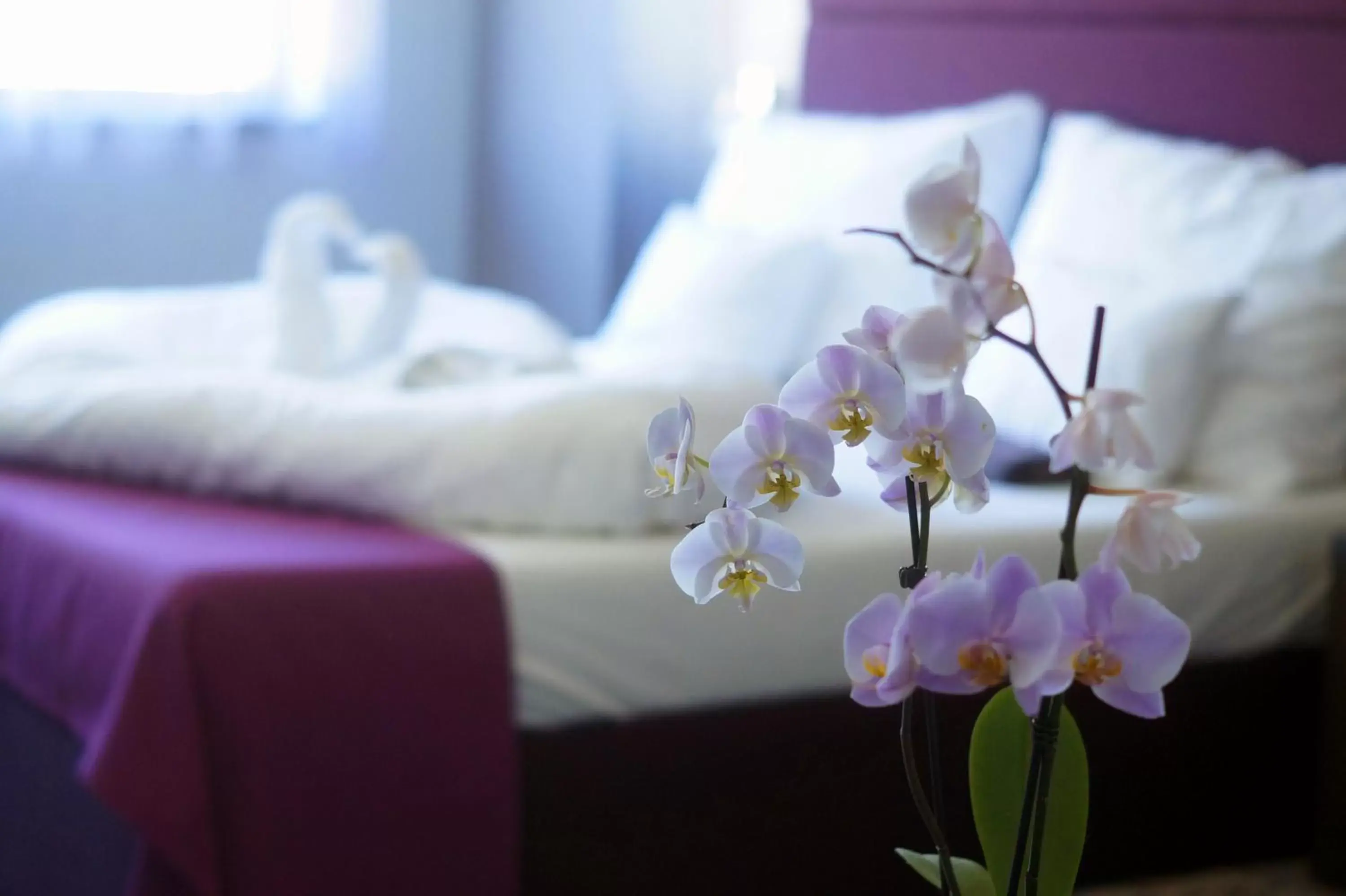 Fitromax Sportpanzió Ajka Fitromax Sportpanzió Ajka