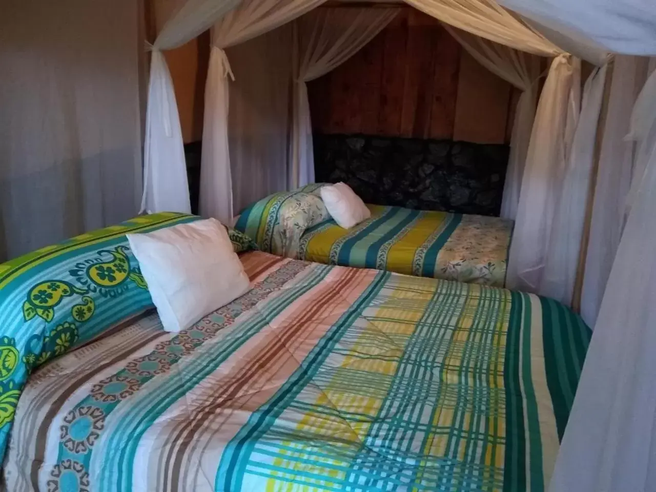 Twin Room with Terrace in Hotel Green Mountain Twin Room with Terrace in Hotel Green Mountain