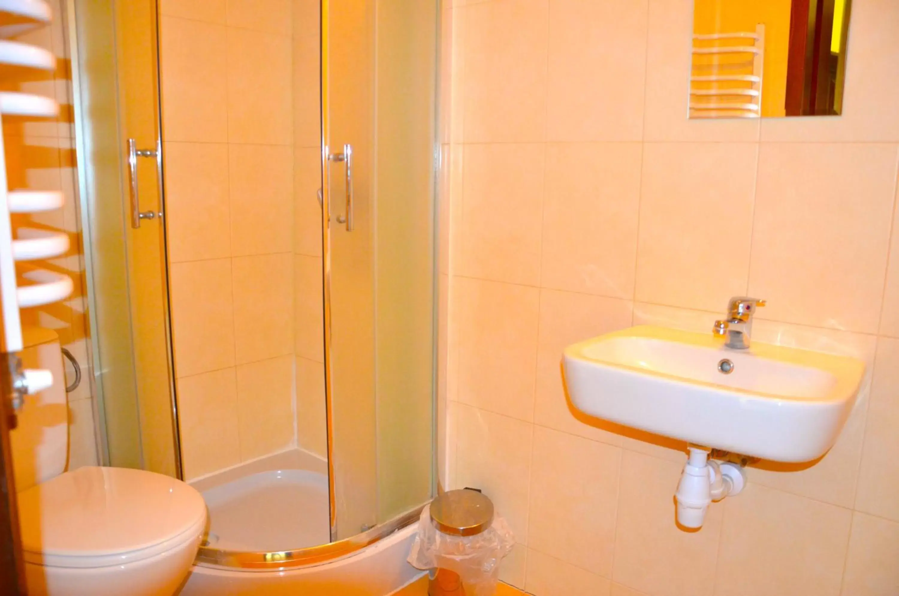 Double Room with Private Bathroom in Ośrodek Wypoczynkowo-Szkoleniowy HALNY Double Room with Private Bathroom in Ośrodek Wypoczynkowo-Szkoleniowy HALNY