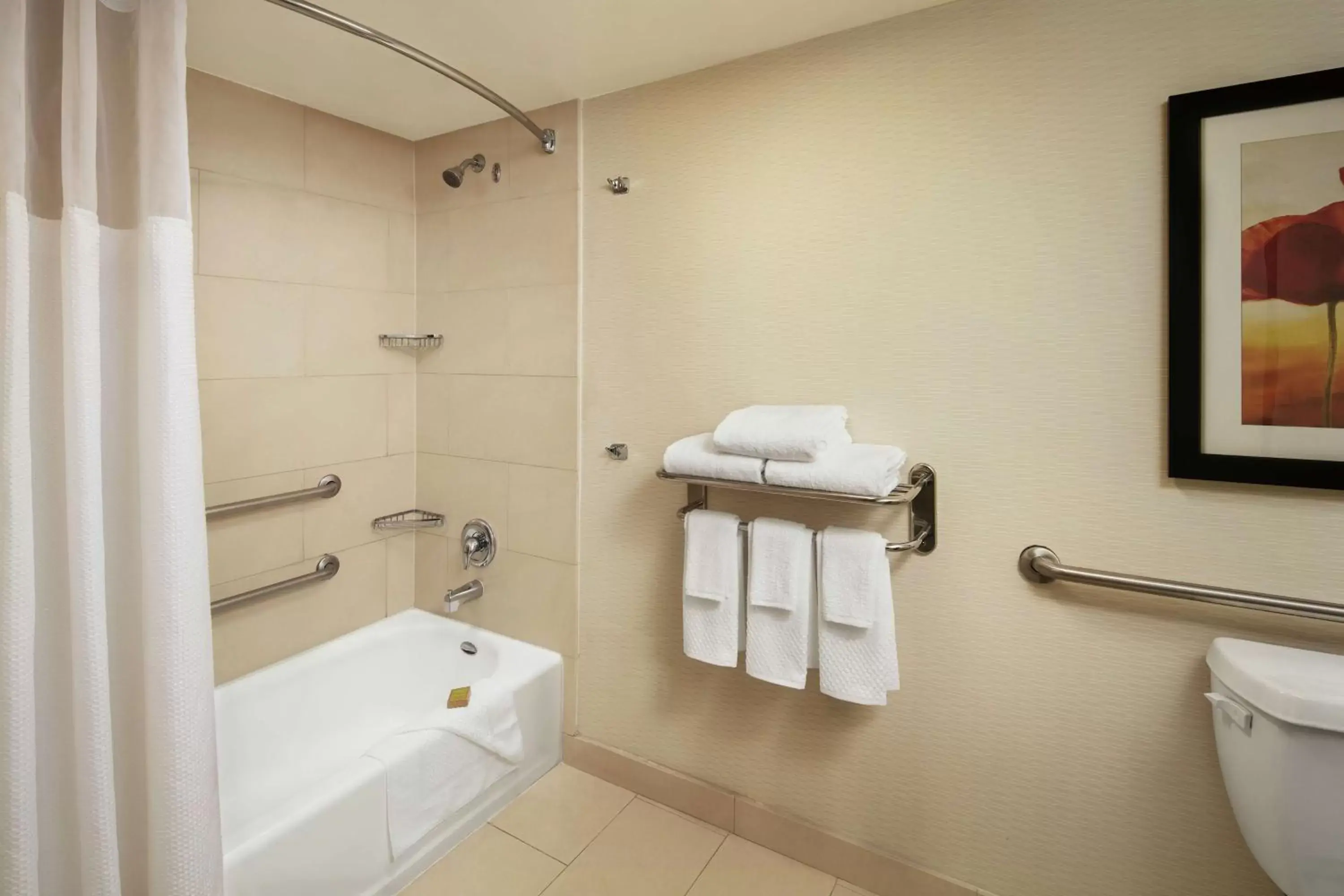 Queen Suite with Roll-In Shower - Disability Access in DoubleTree By Hilton San Diego Hotel Circle Queen Suite with Roll-In Shower - Disability Access in DoubleTree By Hilton San Diego Hotel Circle