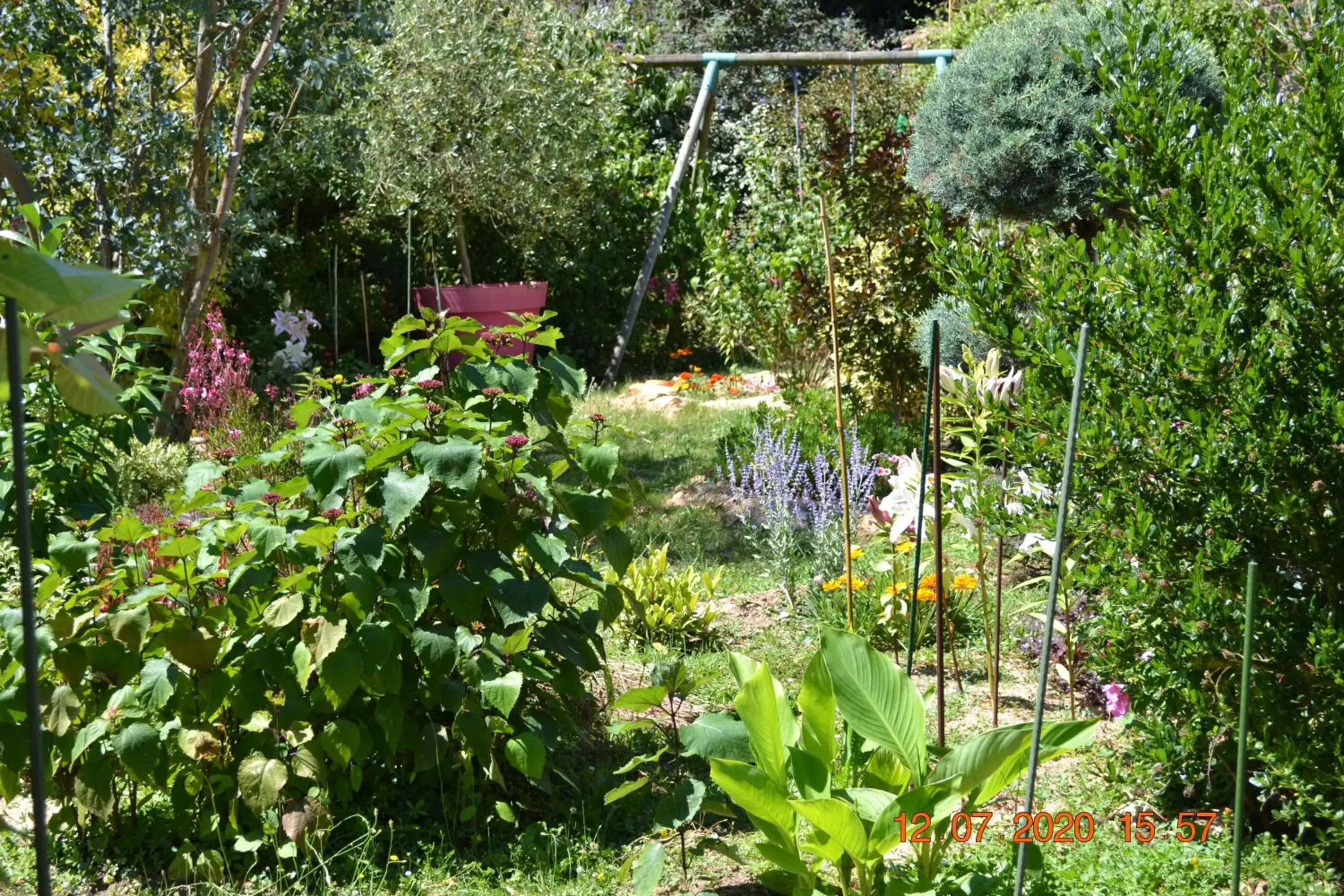 Hôtel Le Castel Hôtel Le Castel