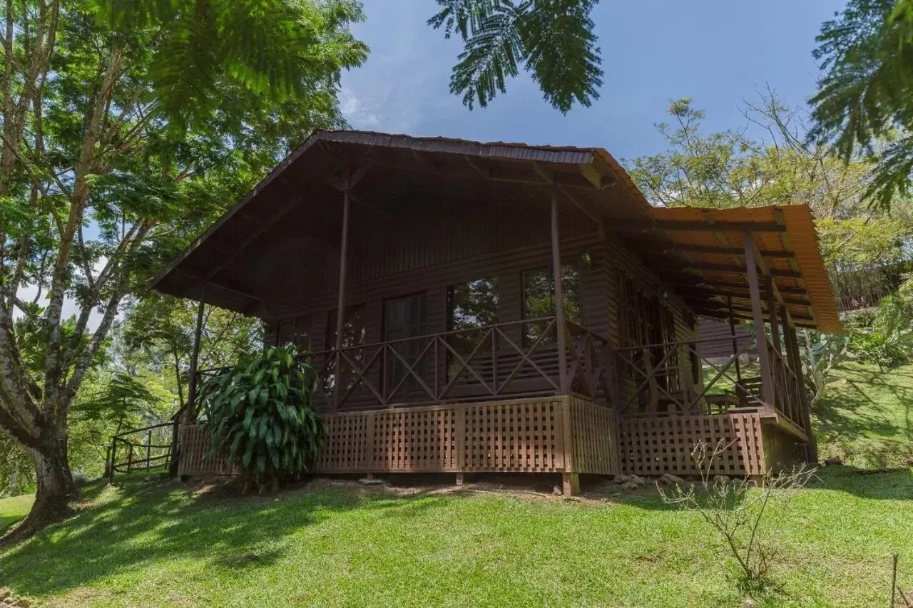 Double Room with Balcony (2 Adults + 1 Child) in Hospedaje La Naciente Double Room with Balcony (2 Adults + 1 Child) in Hospedaje La Naciente