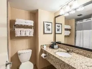 King Room with Roll-in-Shower - Accessible/Non Smoking in Comfort Inn & Suites Alexandria West King Room with Roll-in-Shower - Accessible/Non Smoking in Comfort Inn & Suites Alexandria West