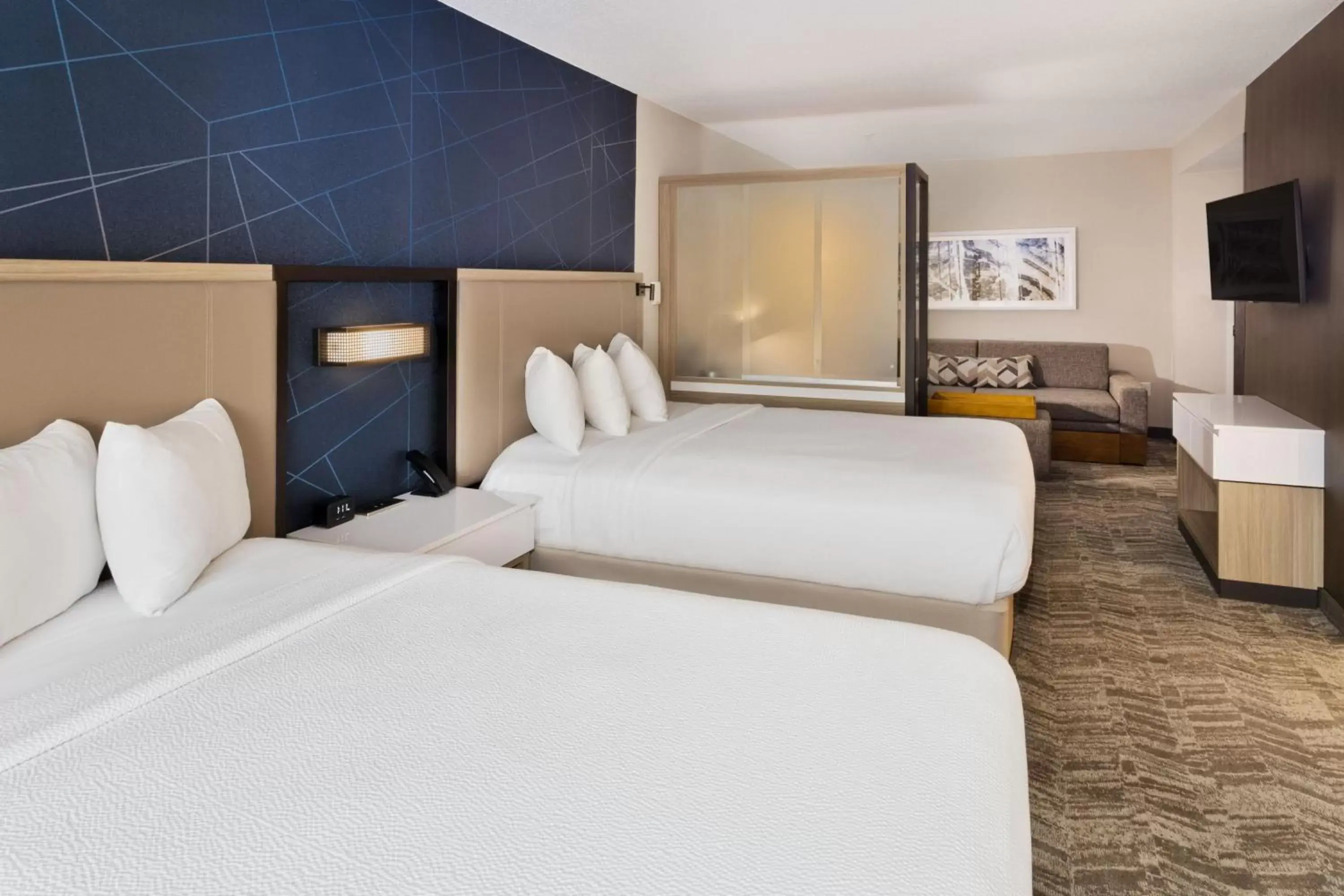 SpringHill Suites Birmingham Colonnade SpringHill Suites Birmingham Colonnade