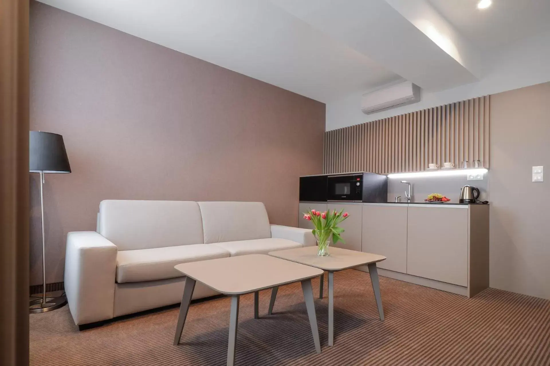 Queen Studio - Disability Access in Hotel Karpatia Queen Studio - Disability Access in Hotel Karpatia