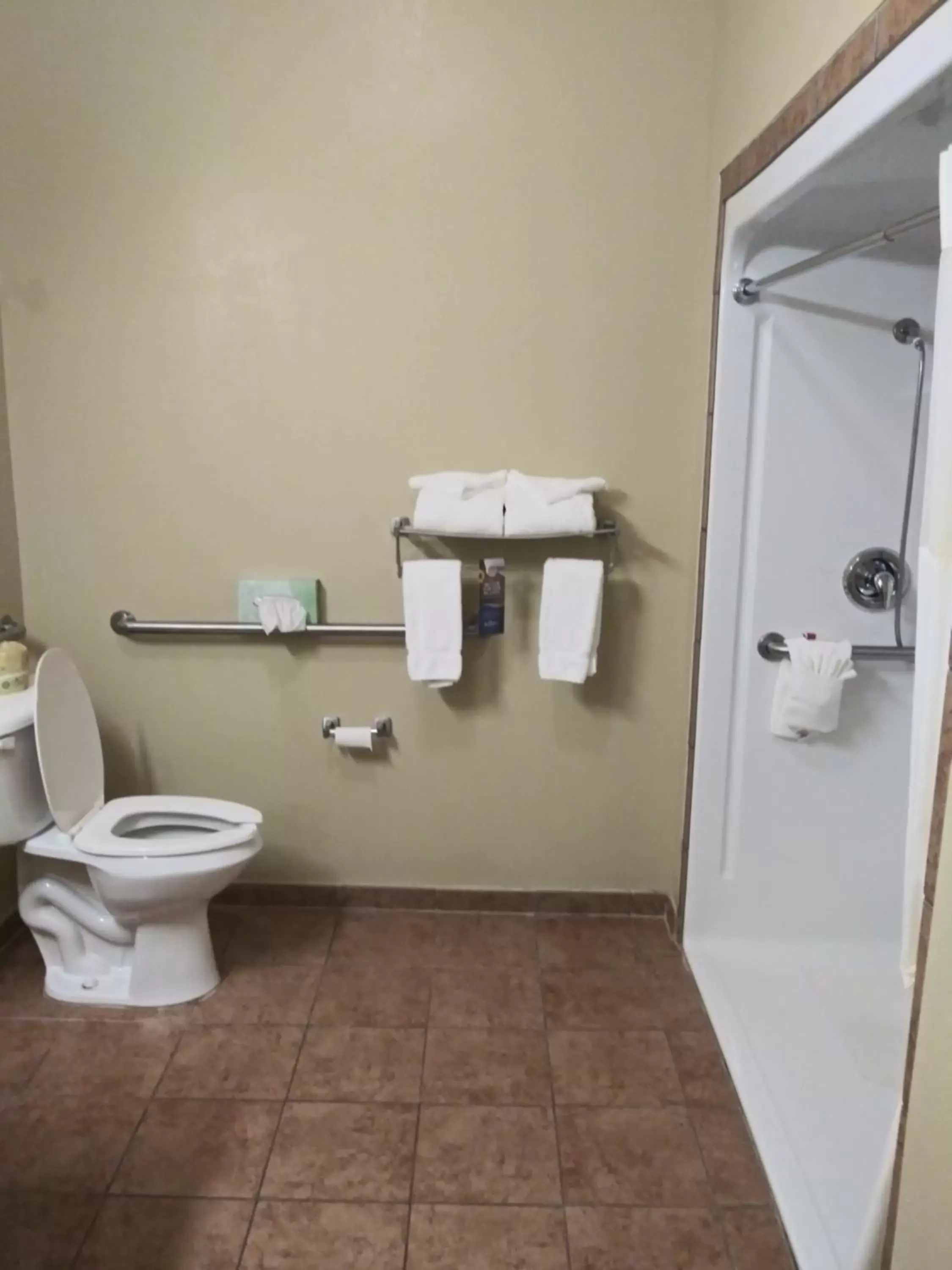 King Room with Roll-In Shower - Mobility/Hearing Accessible - Non-Smoking in Baymont by Wyndham Wheeler King Room with Roll-In Shower - Mobility/Hearing Accessible - Non-Smoking in Baymont by Wyndham Wheeler