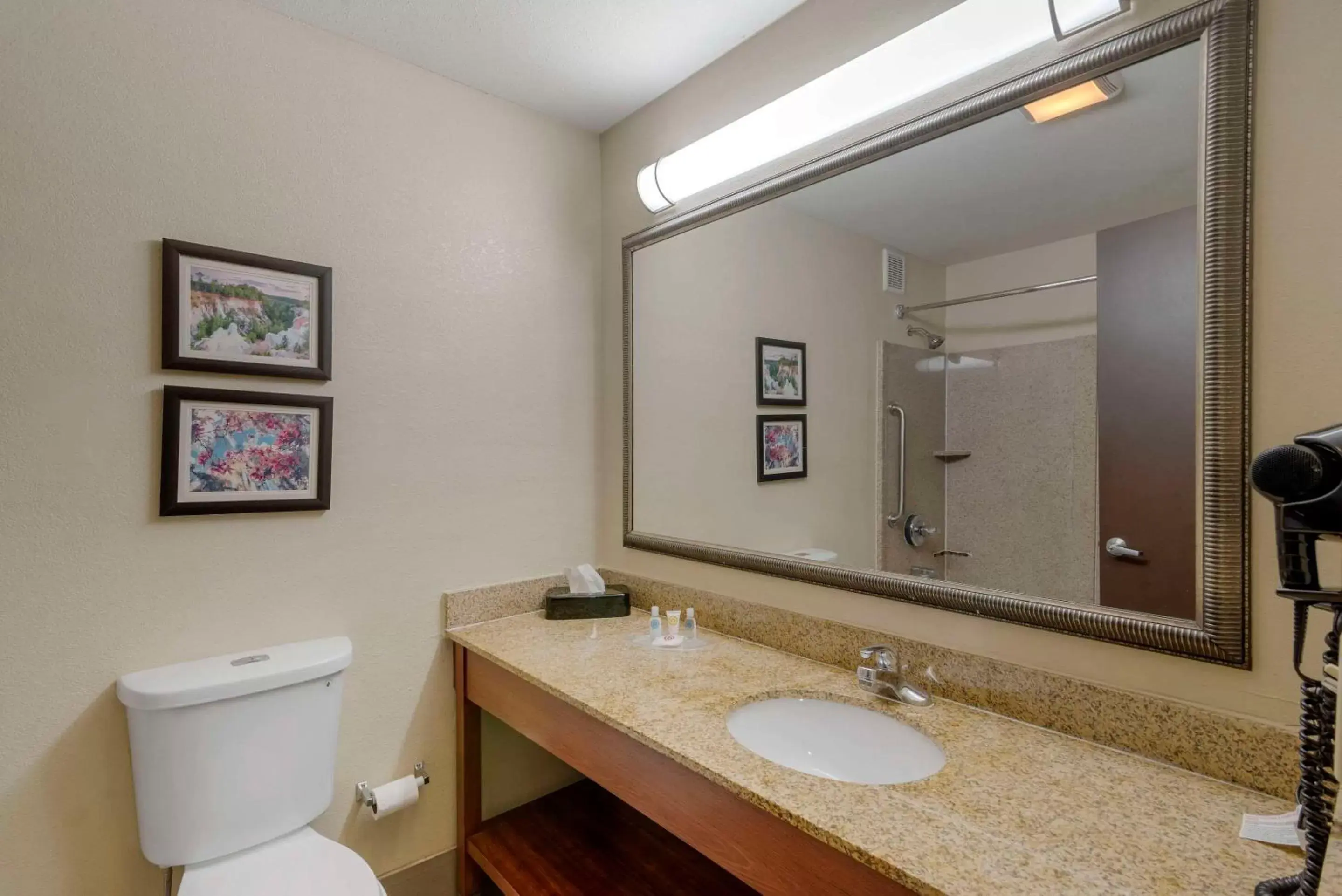 King Suite - Non-Smoking in Comfort Suites Columbus State University Area King Suite - Non-Smoking in Comfort Suites Columbus State University Area