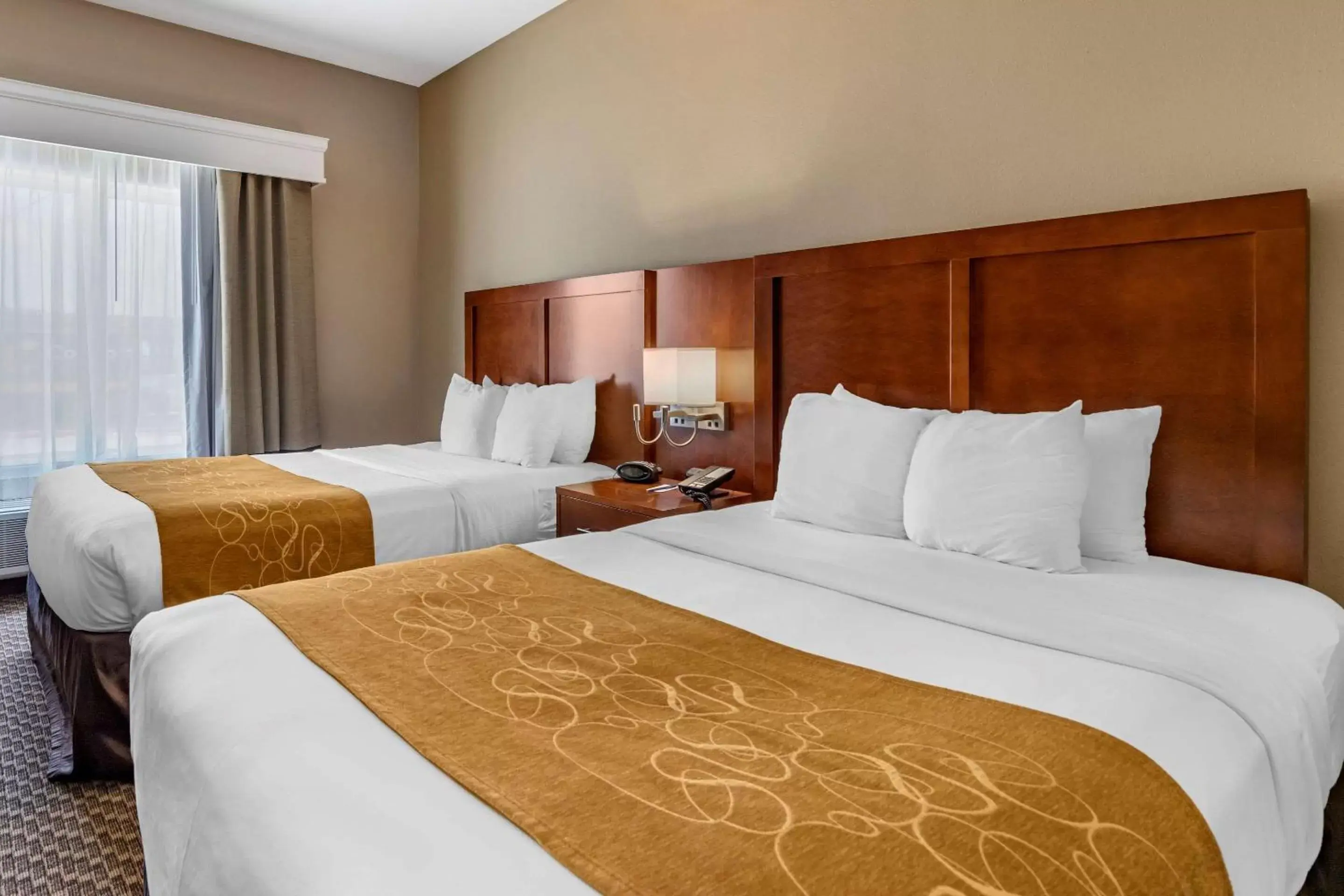 Queen Suite with Two Queen Beds in Comfort Suites Near Texas A&M - Corpus Christi Queen Suite with Two Queen Beds in Comfort Suites Near Texas A&M - Corpus Christi