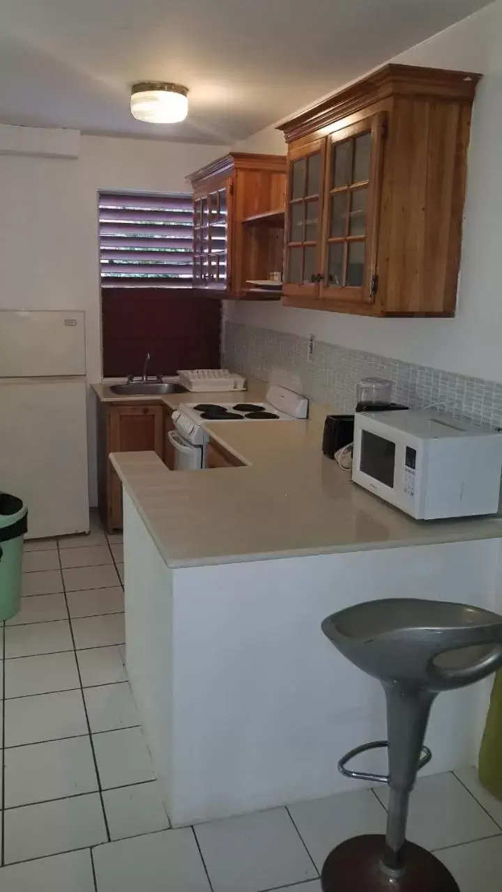 Studio with Balcony in Negril Beach Club Condos Studio with Balcony in Negril Beach Club Condos