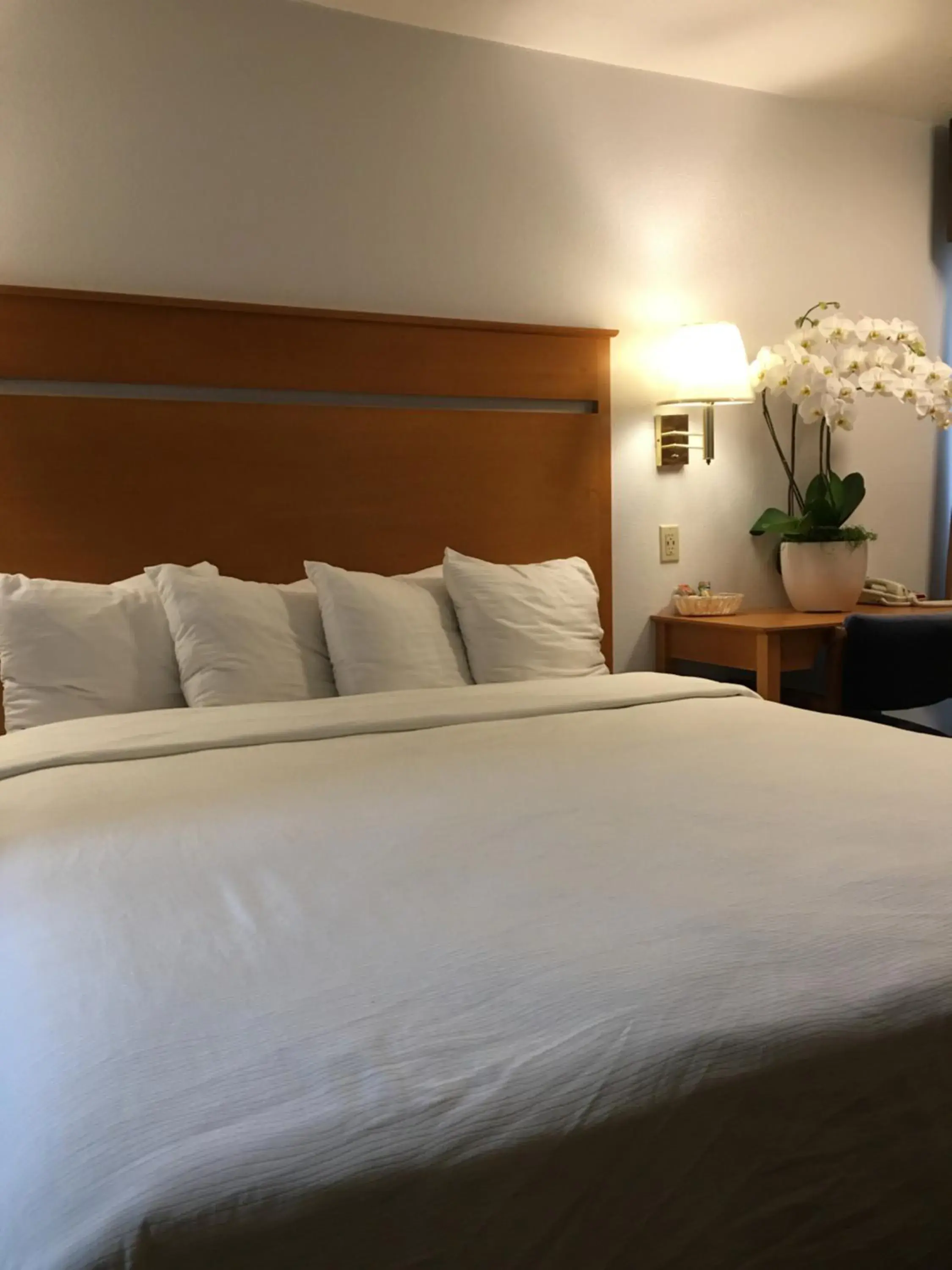 Deluxe King Room with Partial Sea View in OceanView Motel Deluxe King Room with Partial Sea View in OceanView Motel