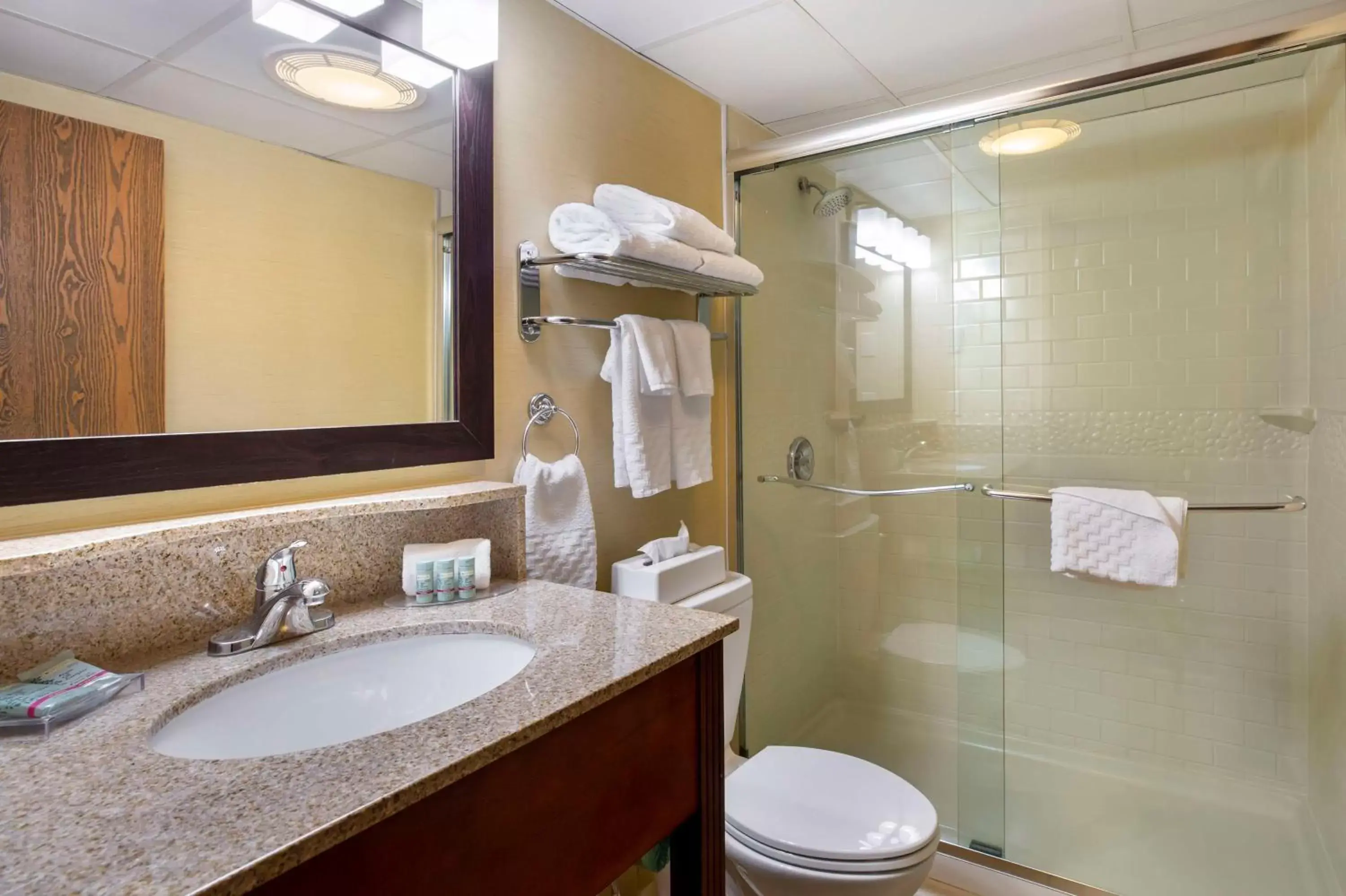 Double Room with Two Double Beds with Roll-In Shower in Best Western Plus The Inn at Sharon/Foxboro Double Room with Two Double Beds with Roll-In Shower in Best Western Plus The Inn at Sharon/Foxboro