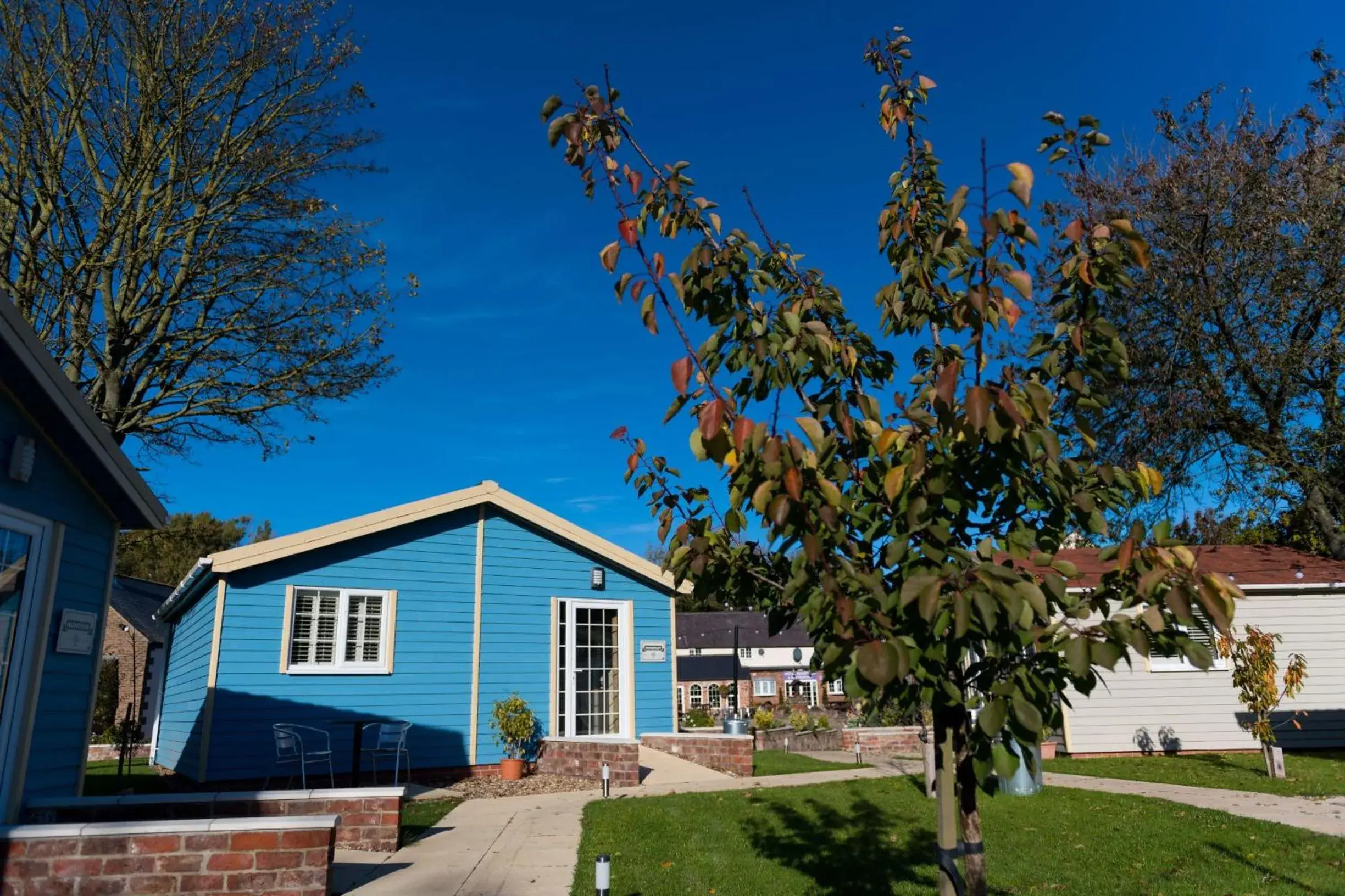 Large Double or Twin Room with Garden View in Manor Court Hotel Large Double or Twin Room with Garden View in Manor Court Hotel