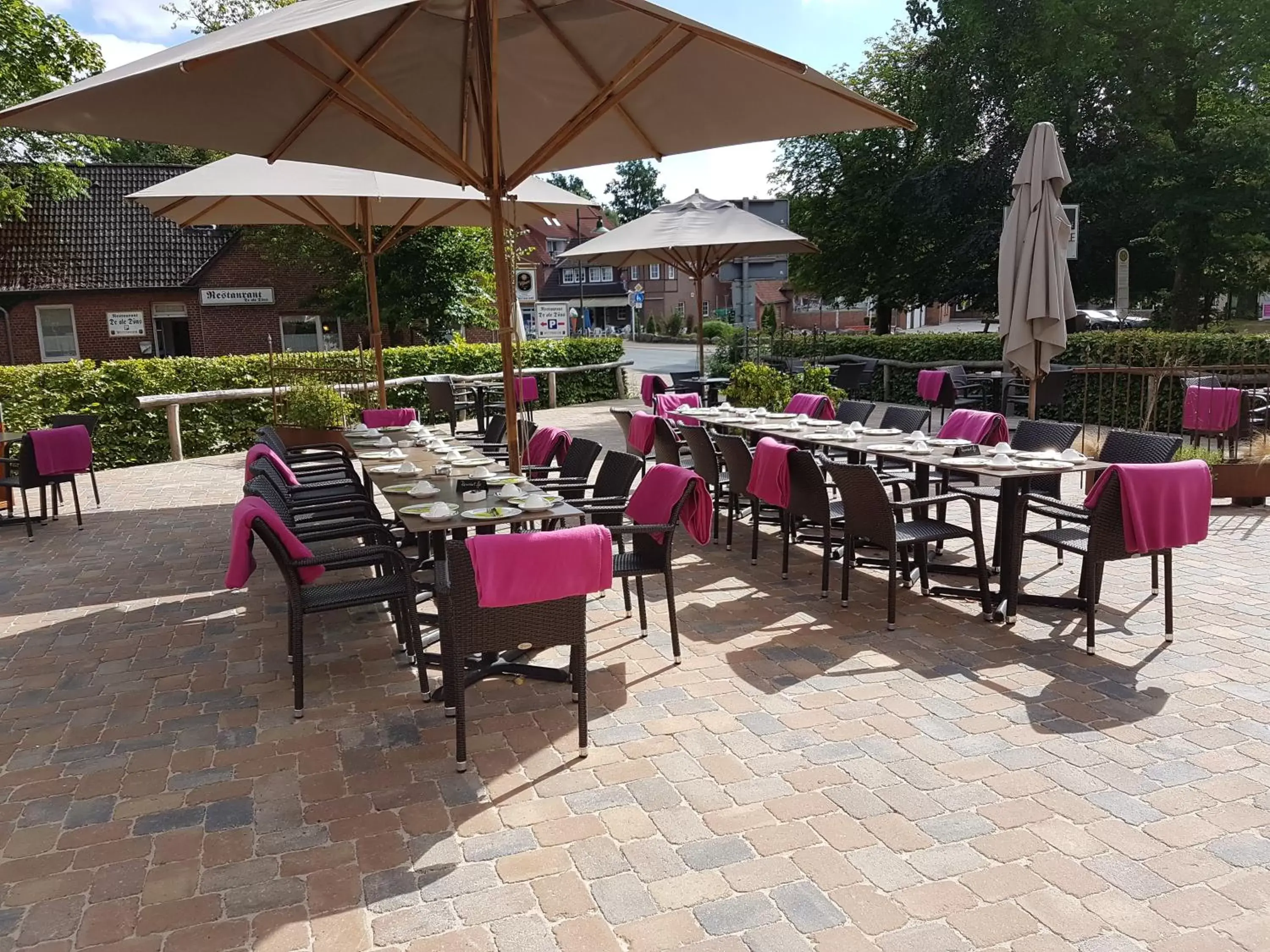 Schmucke Witwe Schmucke Witwe