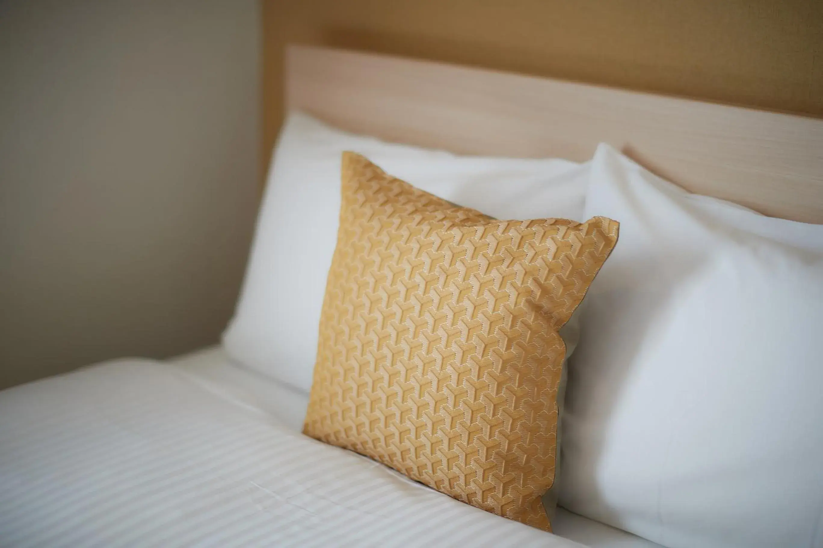 Standard Twin Room - Non-Smoking in ys inn naha orokuekimae Standard Twin Room - Non-Smoking in ys inn naha orokuekimae