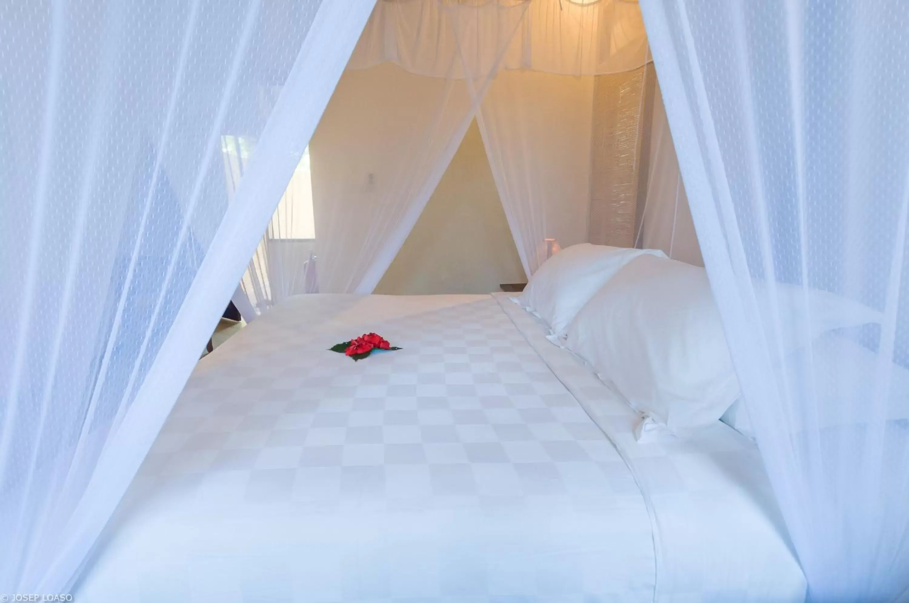 Garden Double Room in Naya Gawana Resort & Spa Garden Double Room in Naya Gawana Resort & Spa