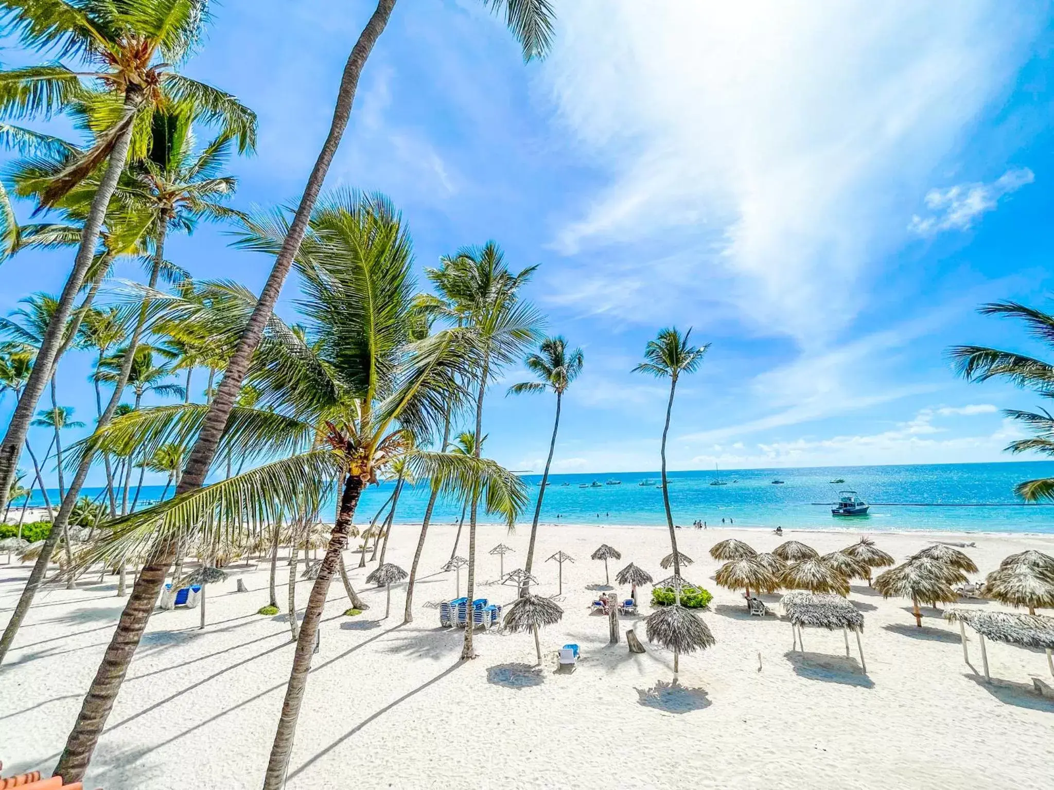 Beach in HOTEL Beach VILLAS Los Corales WIFI & BBQ BEACH CLUB Beach in HOTEL Beach VILLAS Los Corales WIFI & BBQ BEACH CLUB