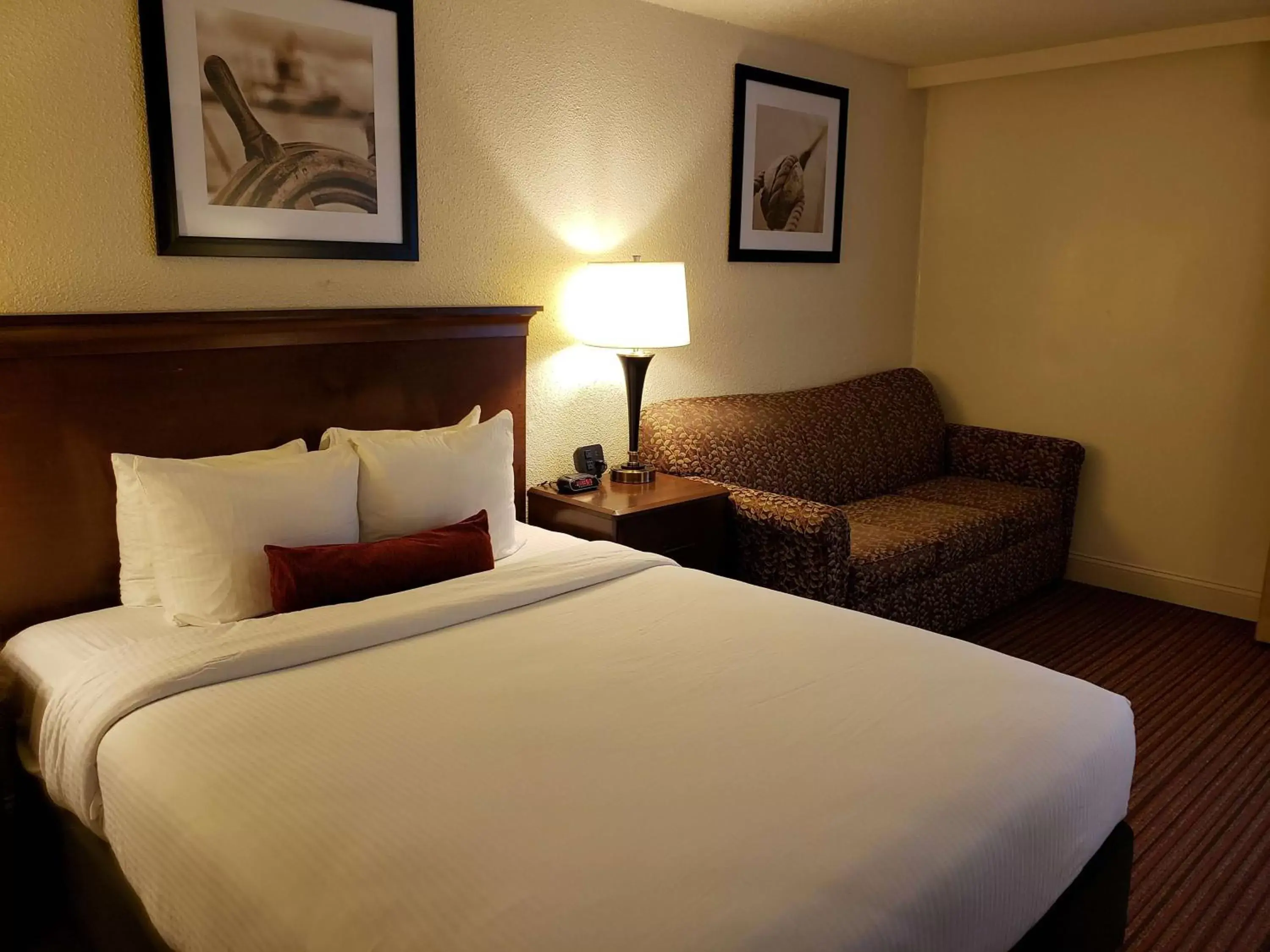 Queen Room with Roll in Shower in Best Western Merry Manor Inn Queen Room with Roll in Shower in Best Western Merry Manor Inn